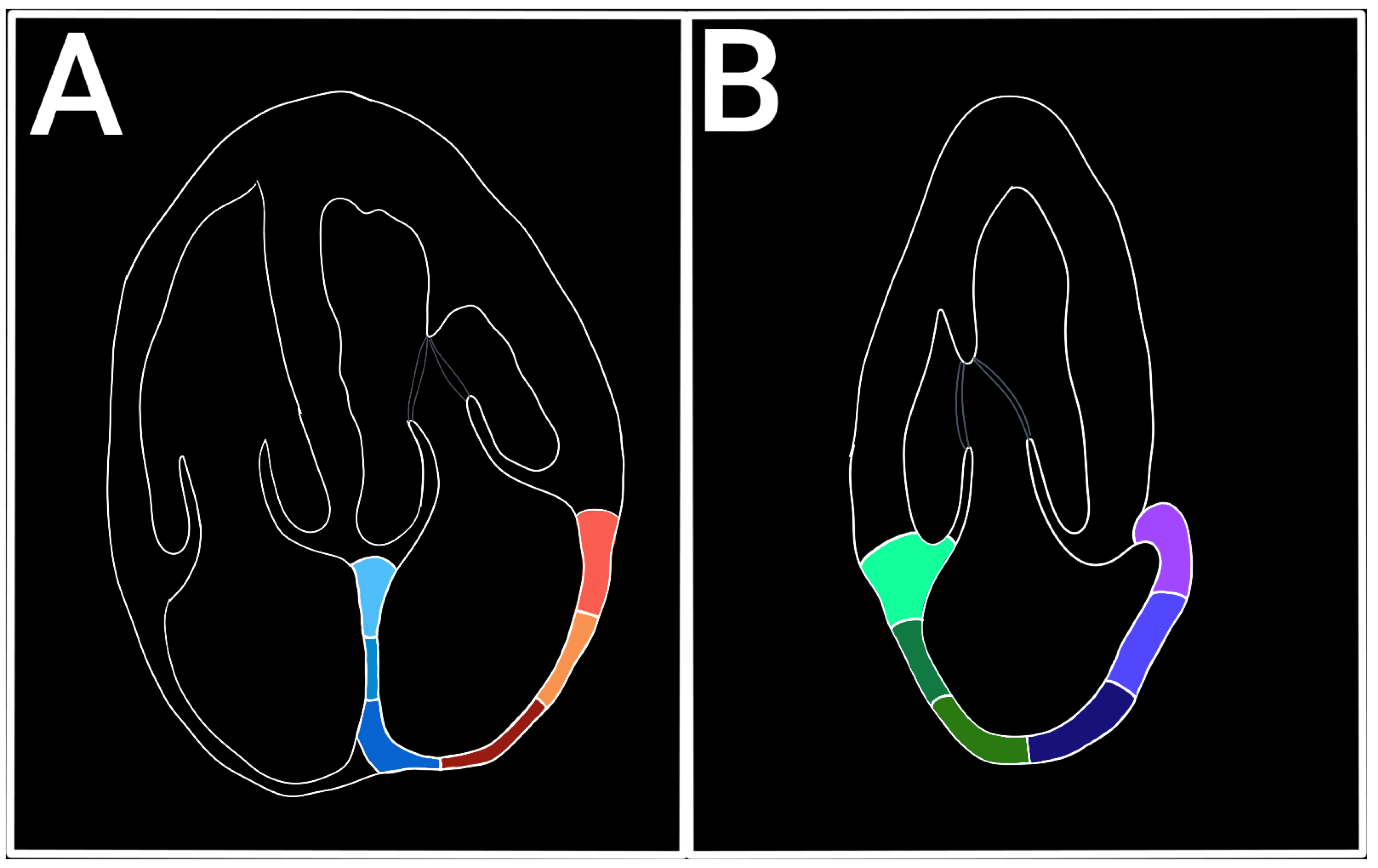 Diagnostics 15 01347 g002