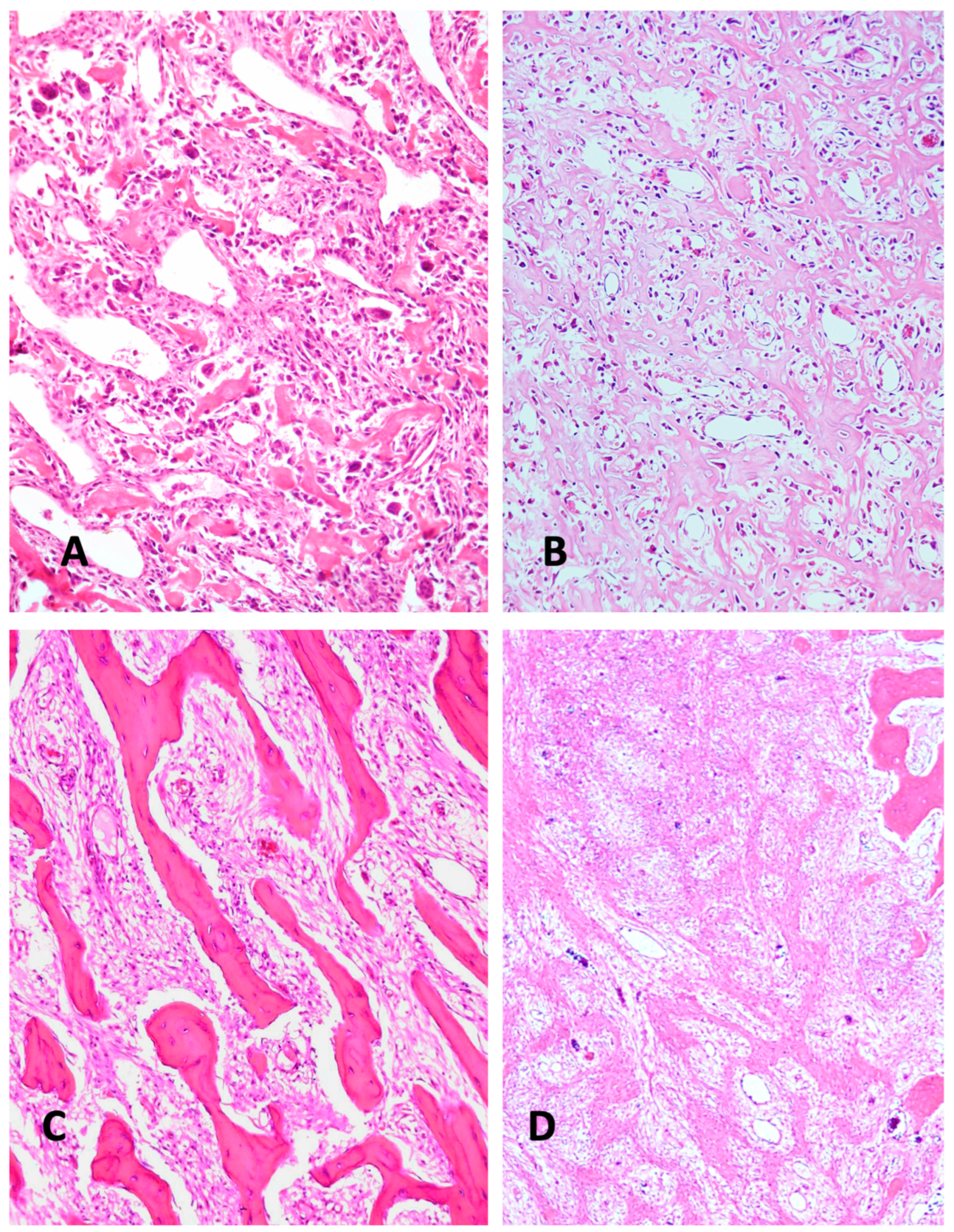 Diagnostics 15 01355 g002 Diagnostics 15 01355 g002