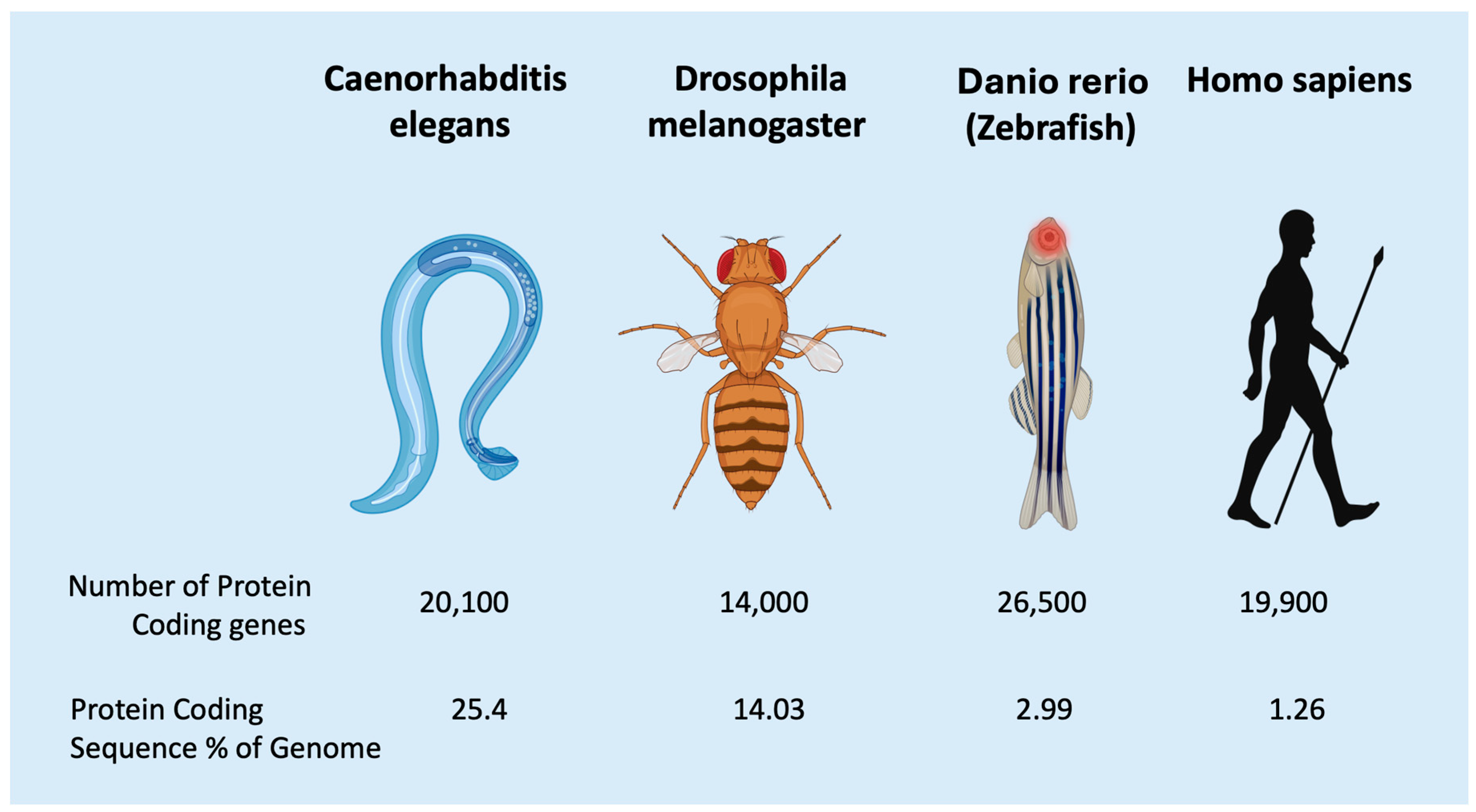 Diagnostics 15 01355 g005 Diagnostics 15 01355 g005