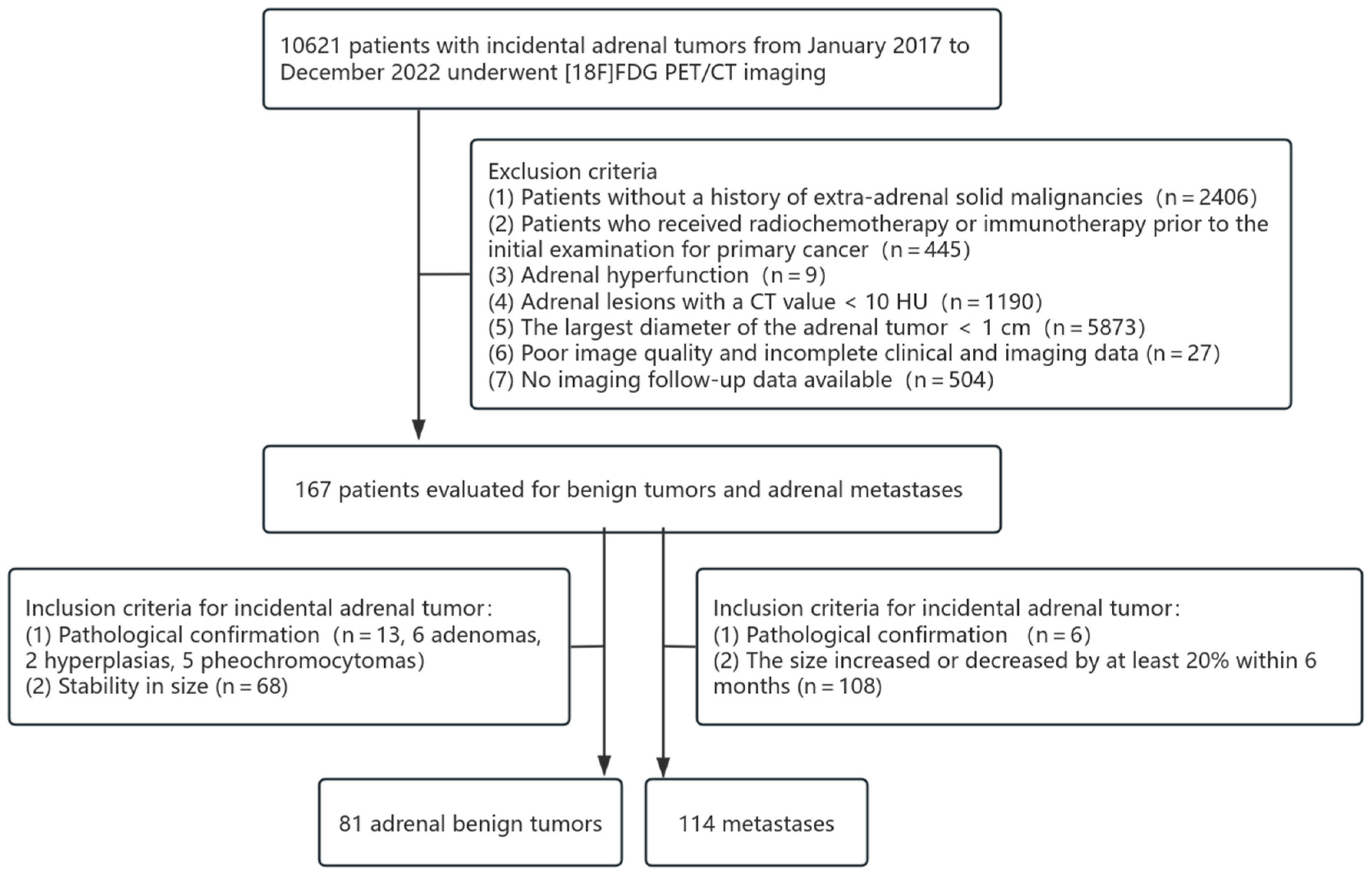 Diagnostics 15 01356 g001