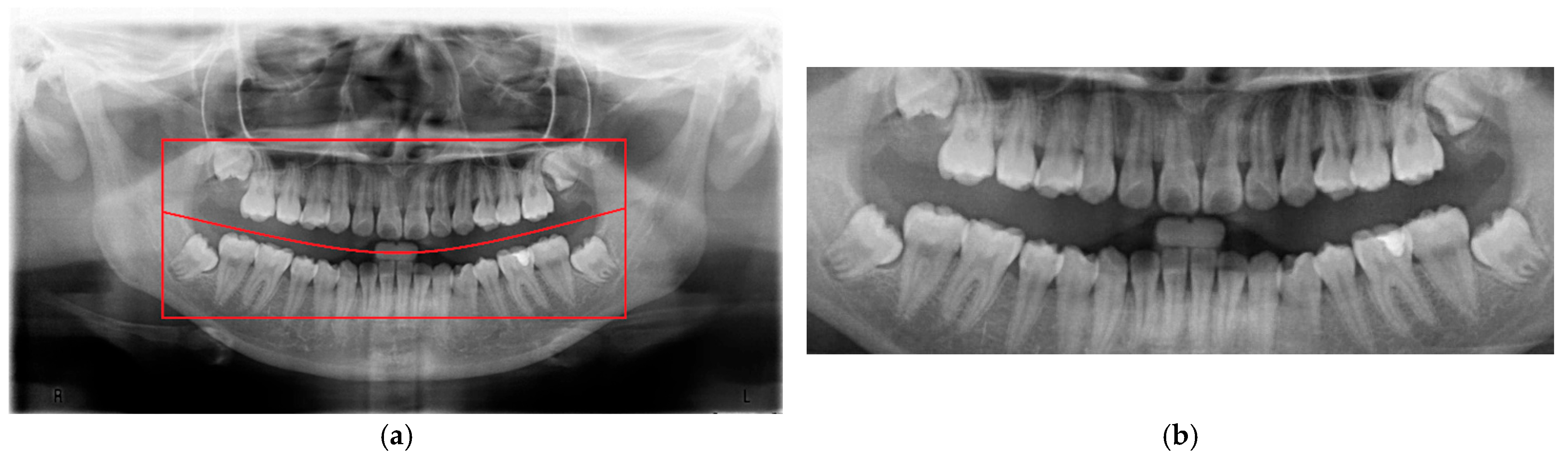 Diagnostics 15 01363 g003