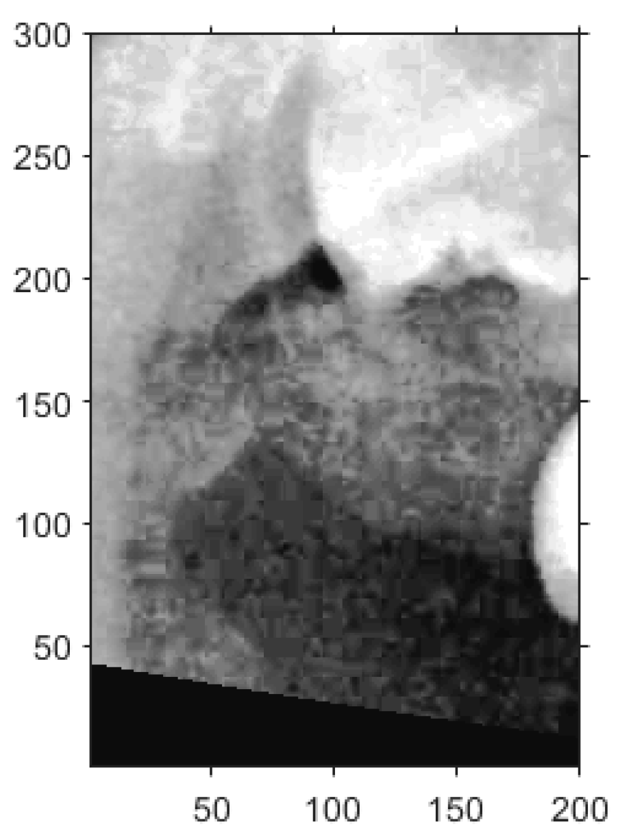 Diagnostics 15 01363 g009