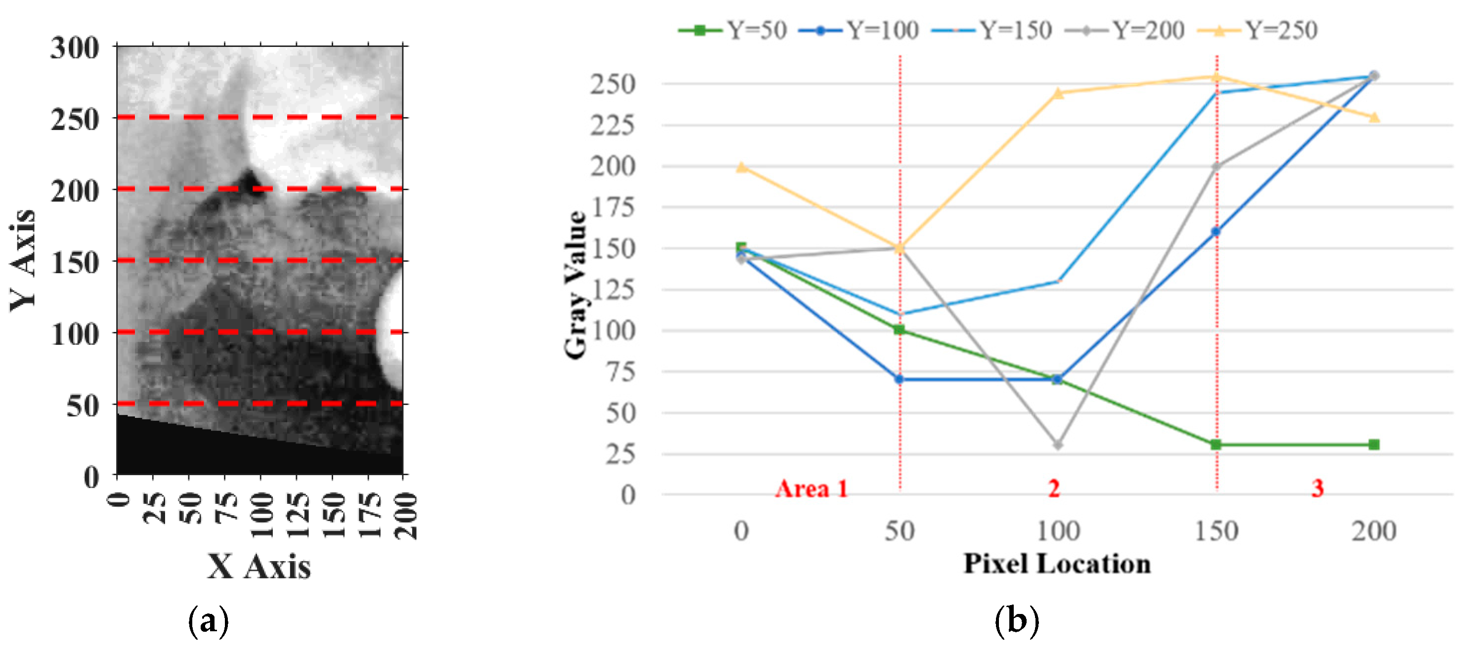 Diagnostics 15 01363 g011