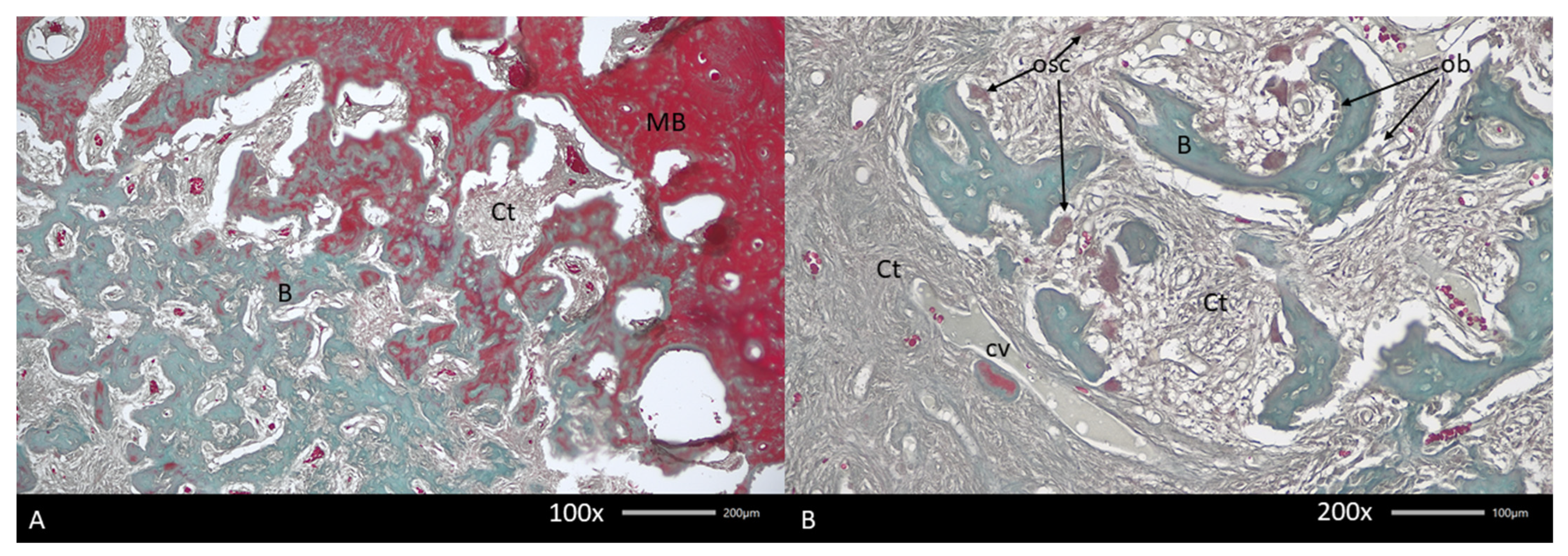 Diagnostics 15 01367 g004