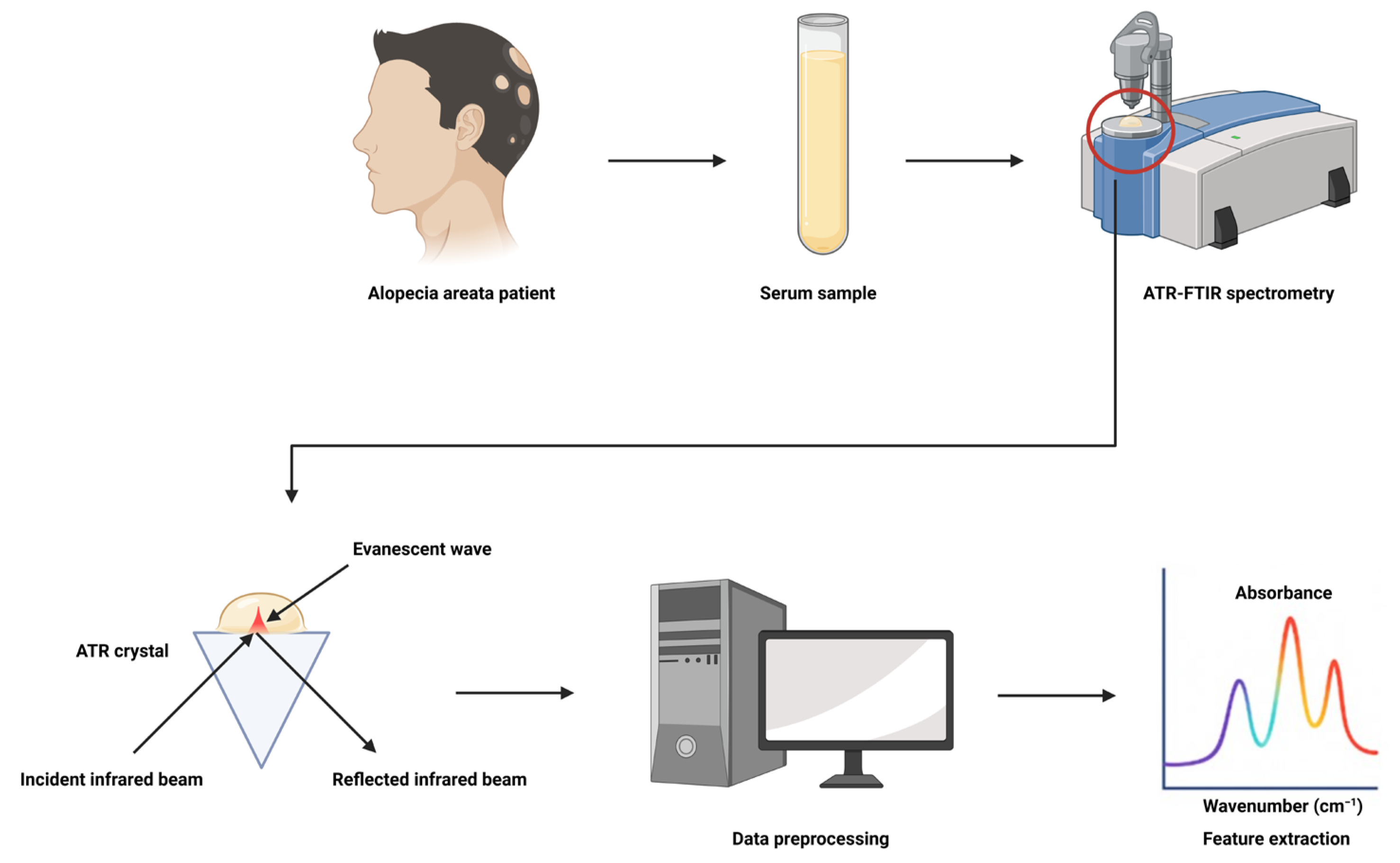Diagnostics 15 01369 g001