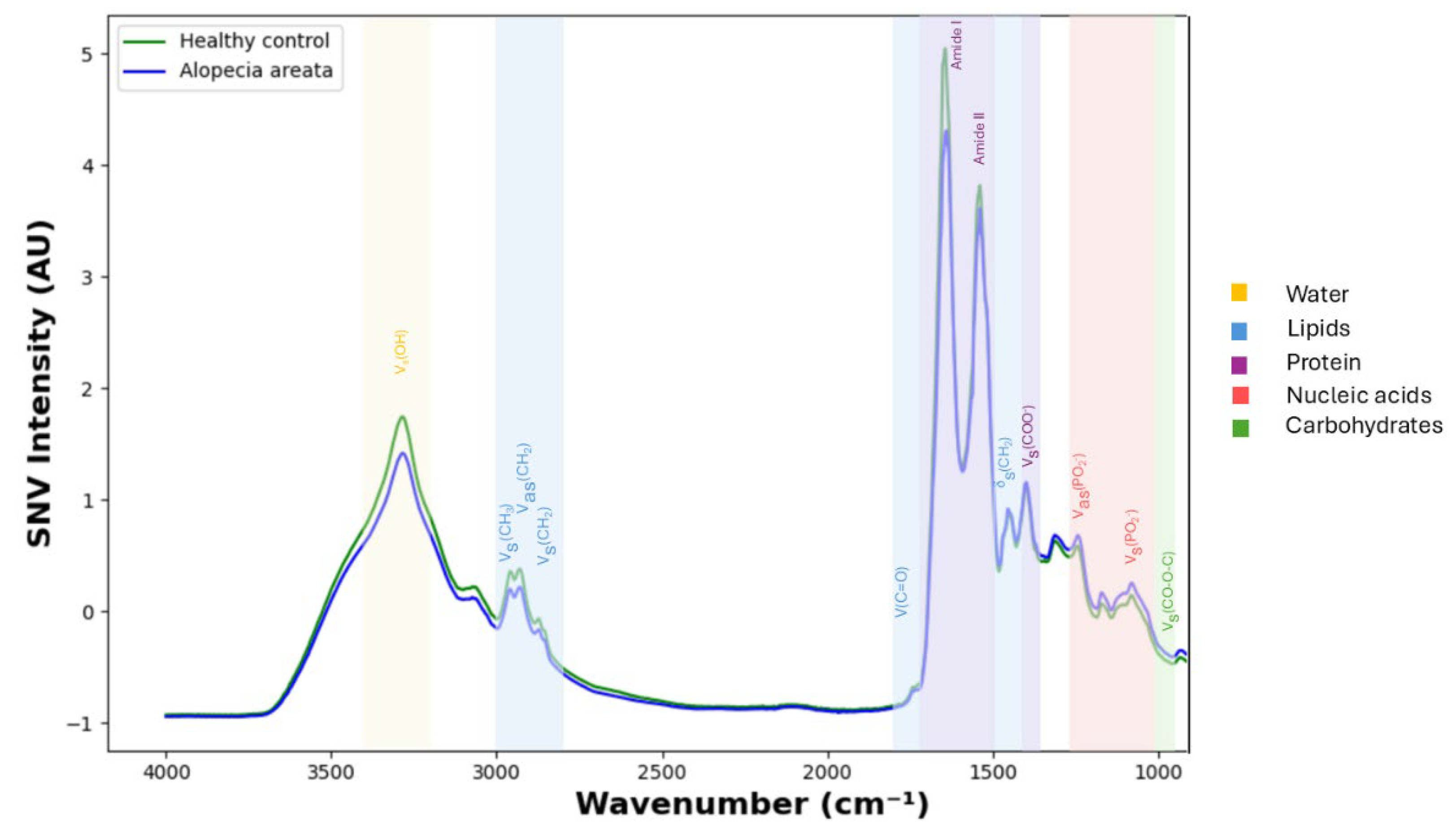 Diagnostics 15 01369 g003