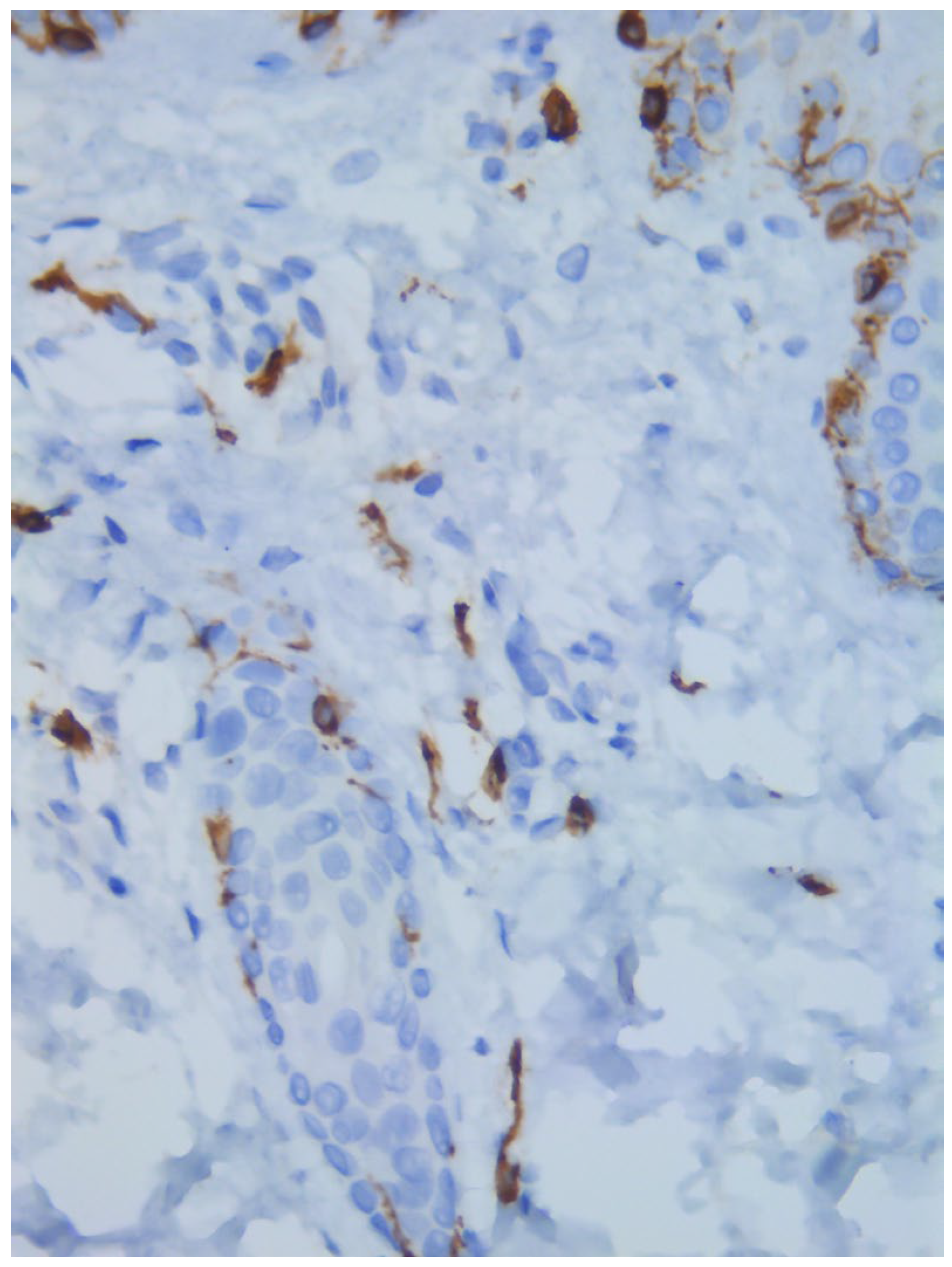 Diagnostics 15 01370 g004