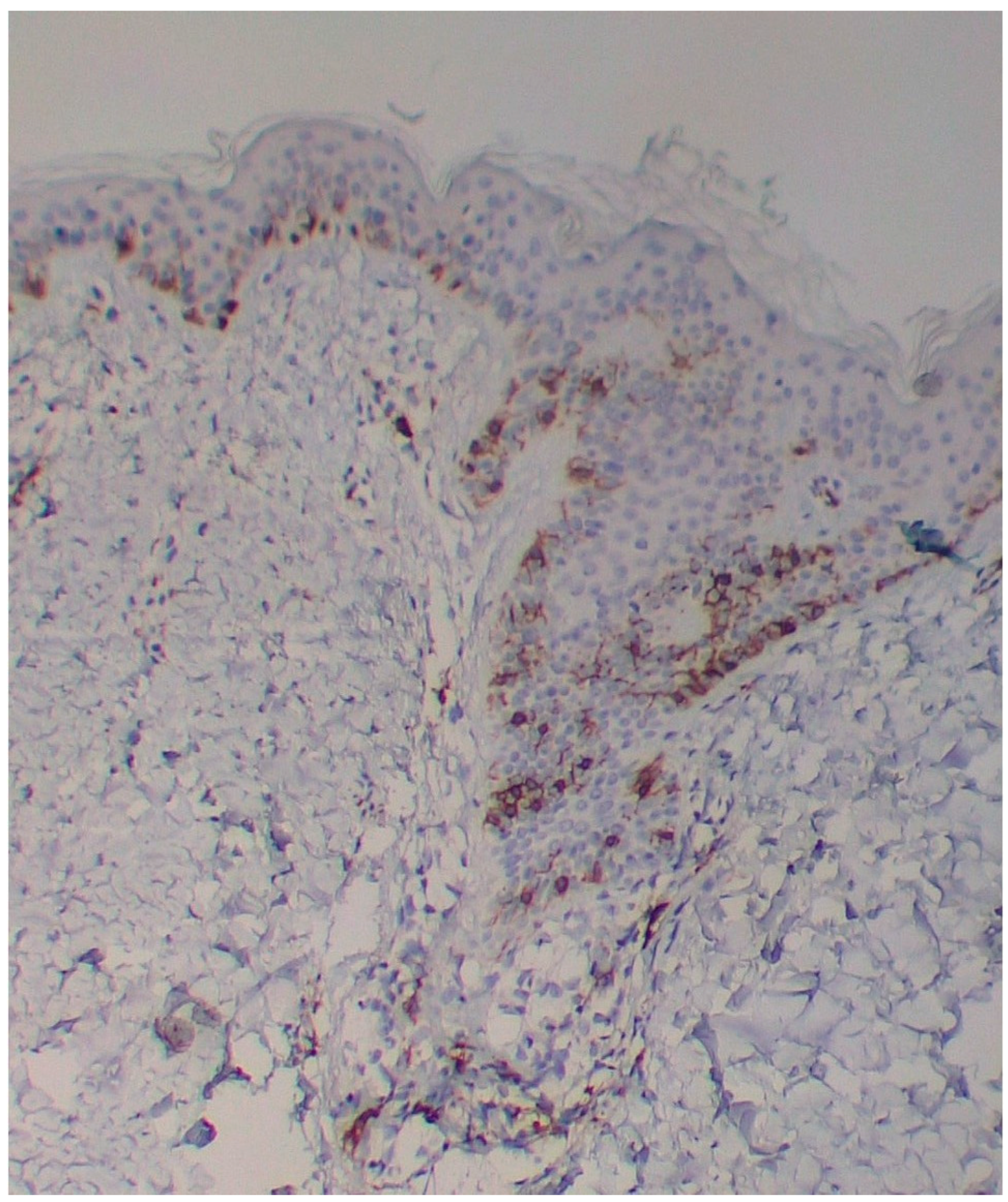 Diagnostics 15 01370 g007