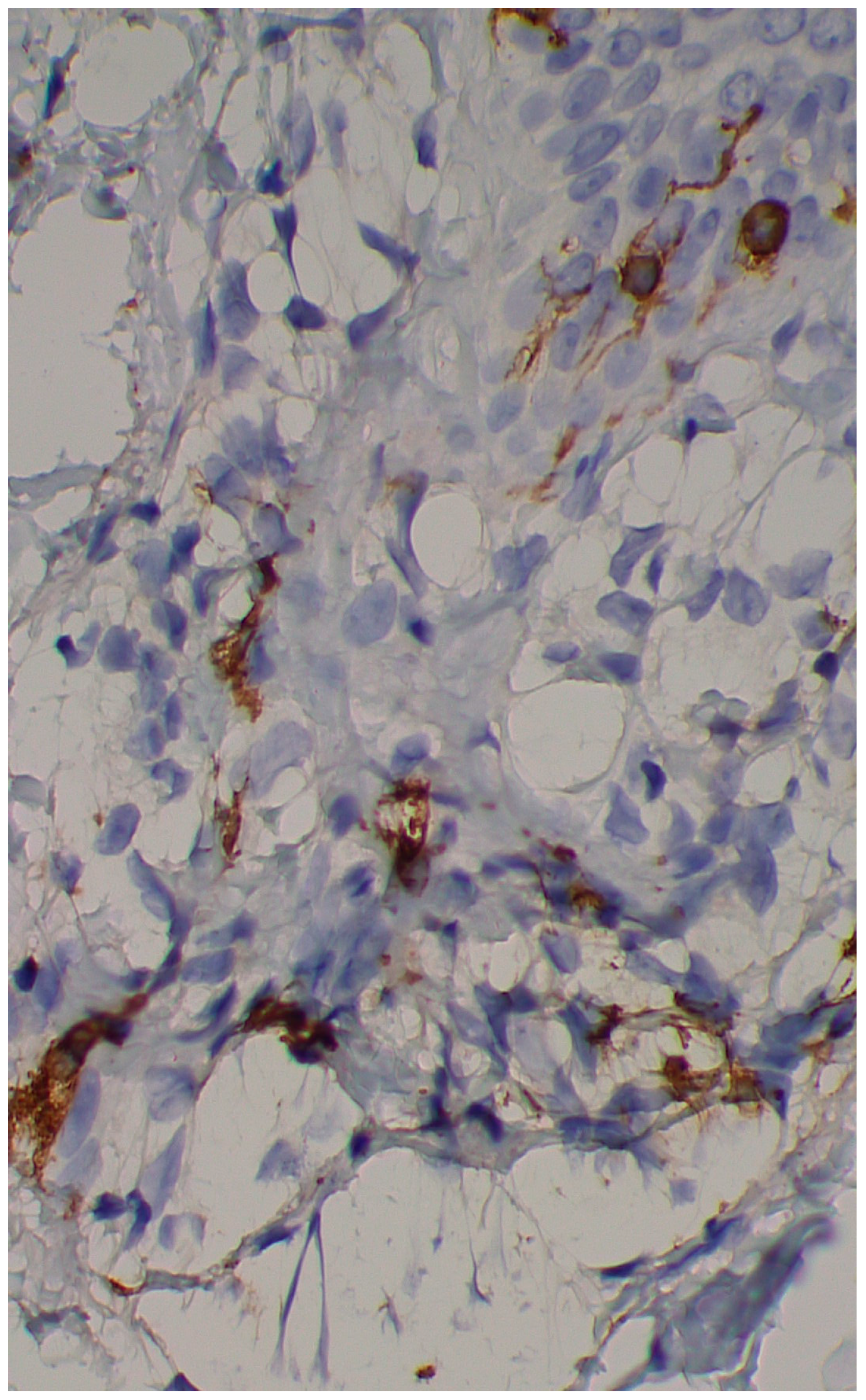 Diagnostics 15 01370 g008