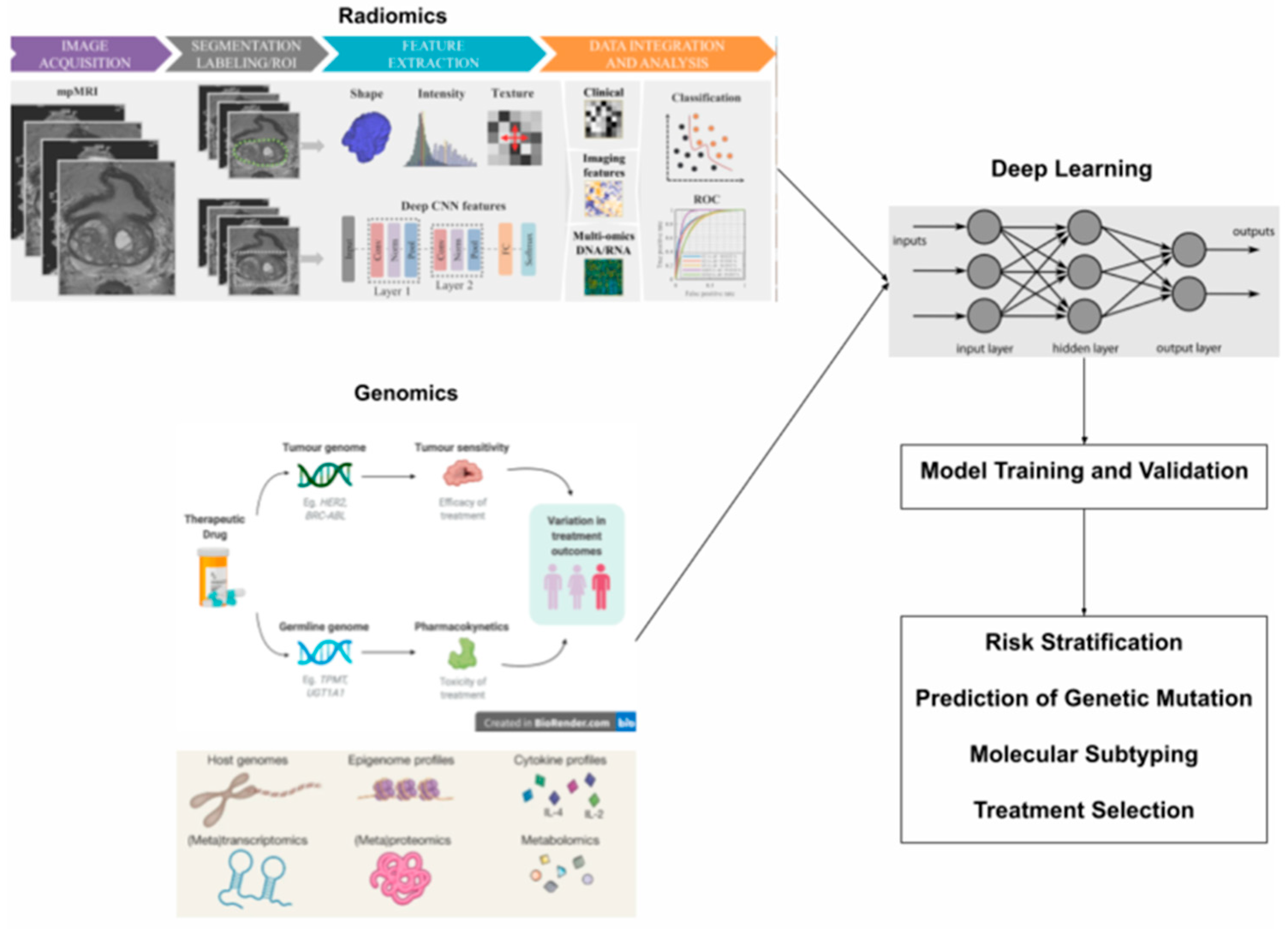 Diagnostics 15 01377 g002 Diagnostics 15 01377 g002