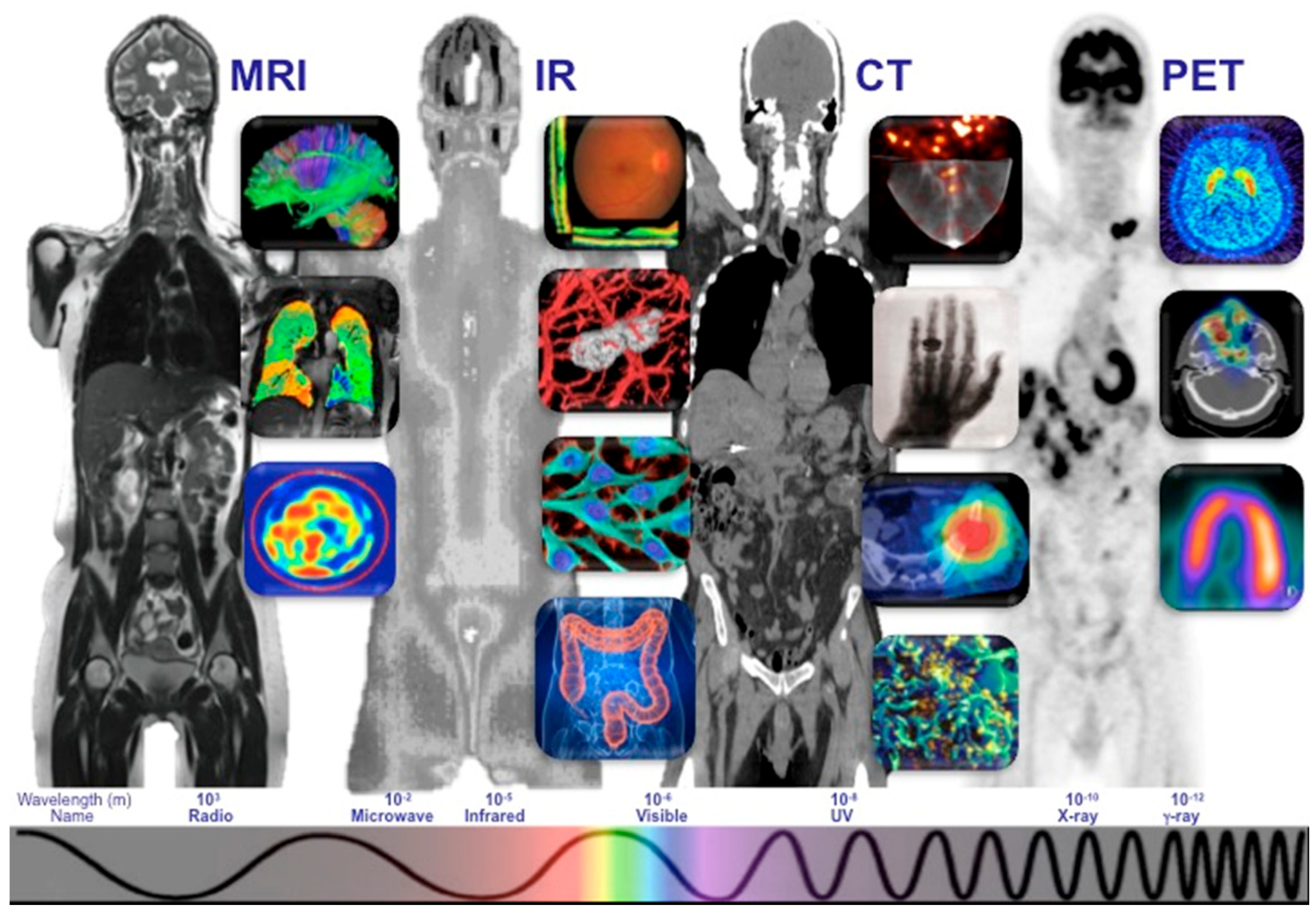 Diagnostics 15 01377 g004 Diagnostics 15 01377 g004