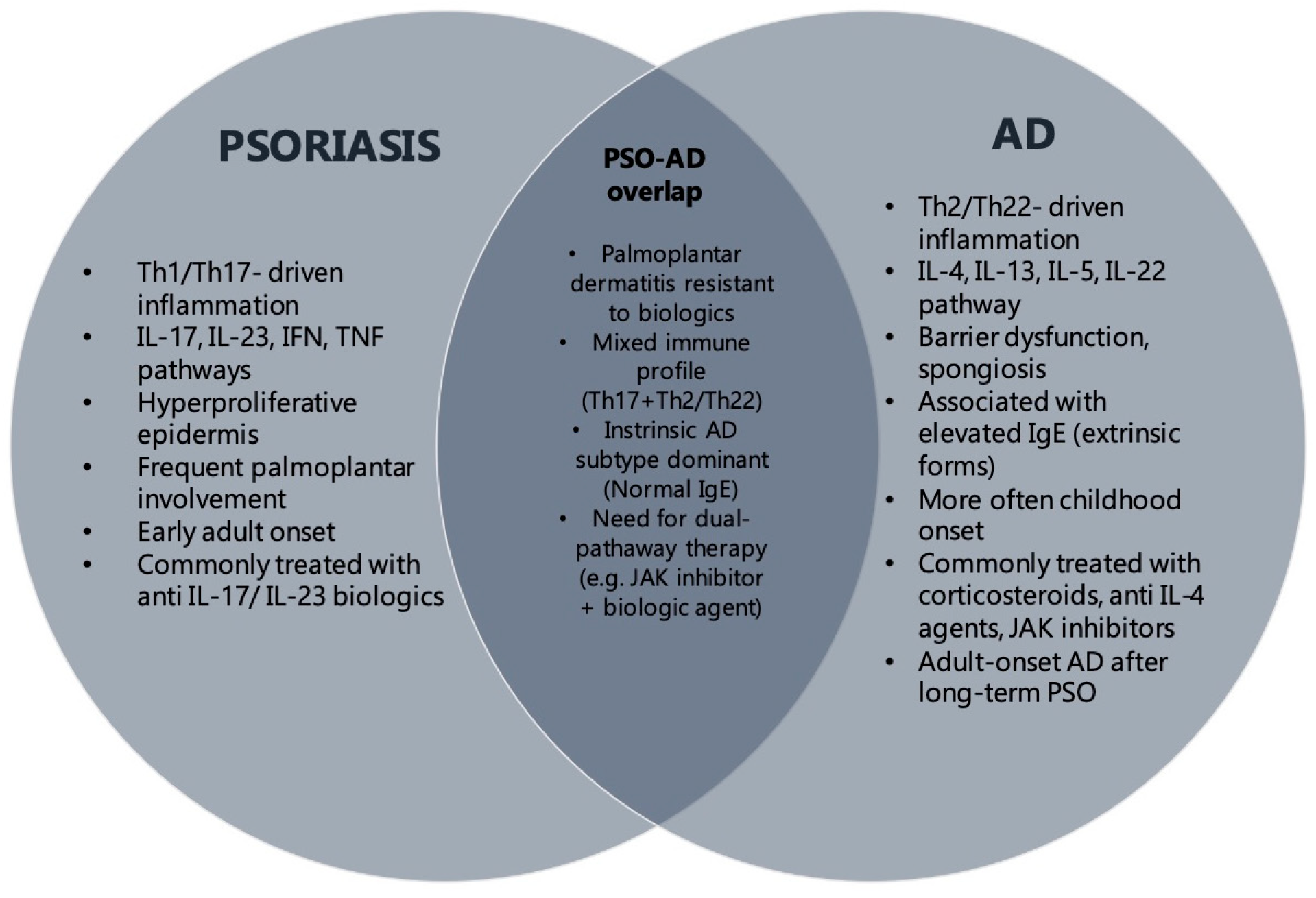 Diagnostics 15 01381 g001