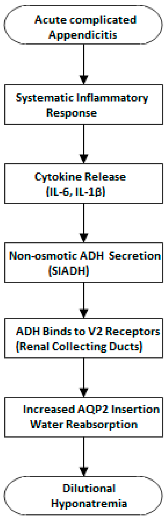Diagnostics 15 01384 g006