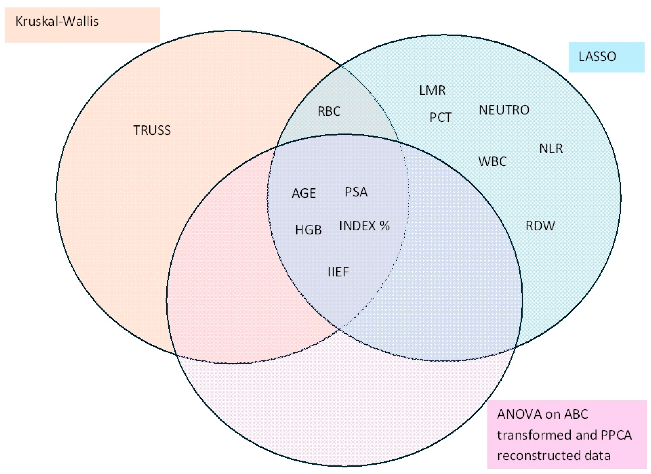 Diagnostics 15 01385 g004