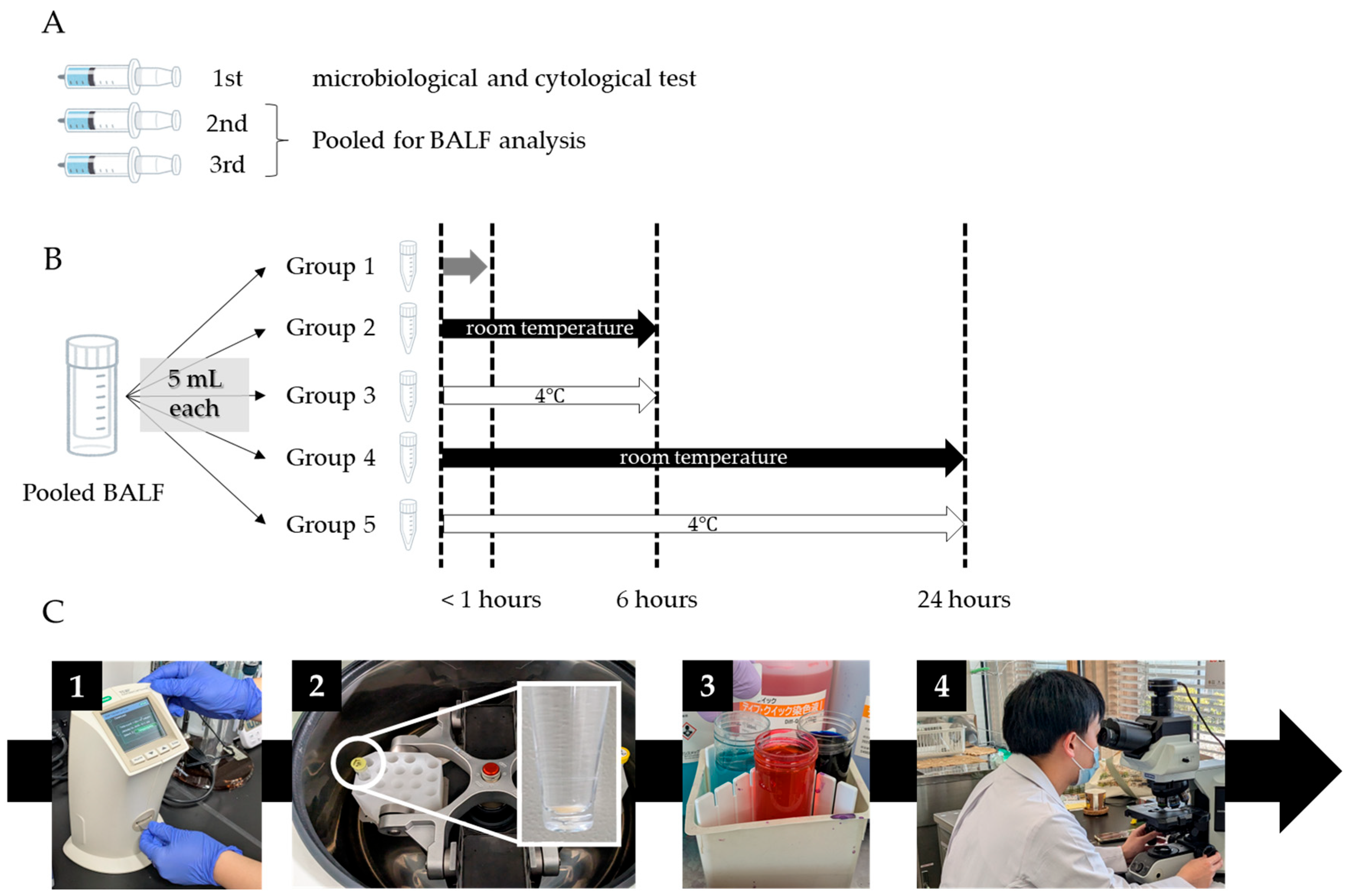 Diagnostics 15 01386 g001