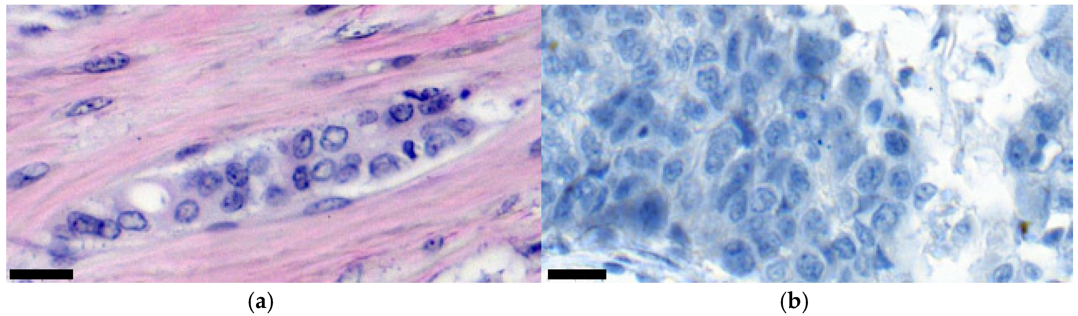 Diagnostics 15 01389 g001