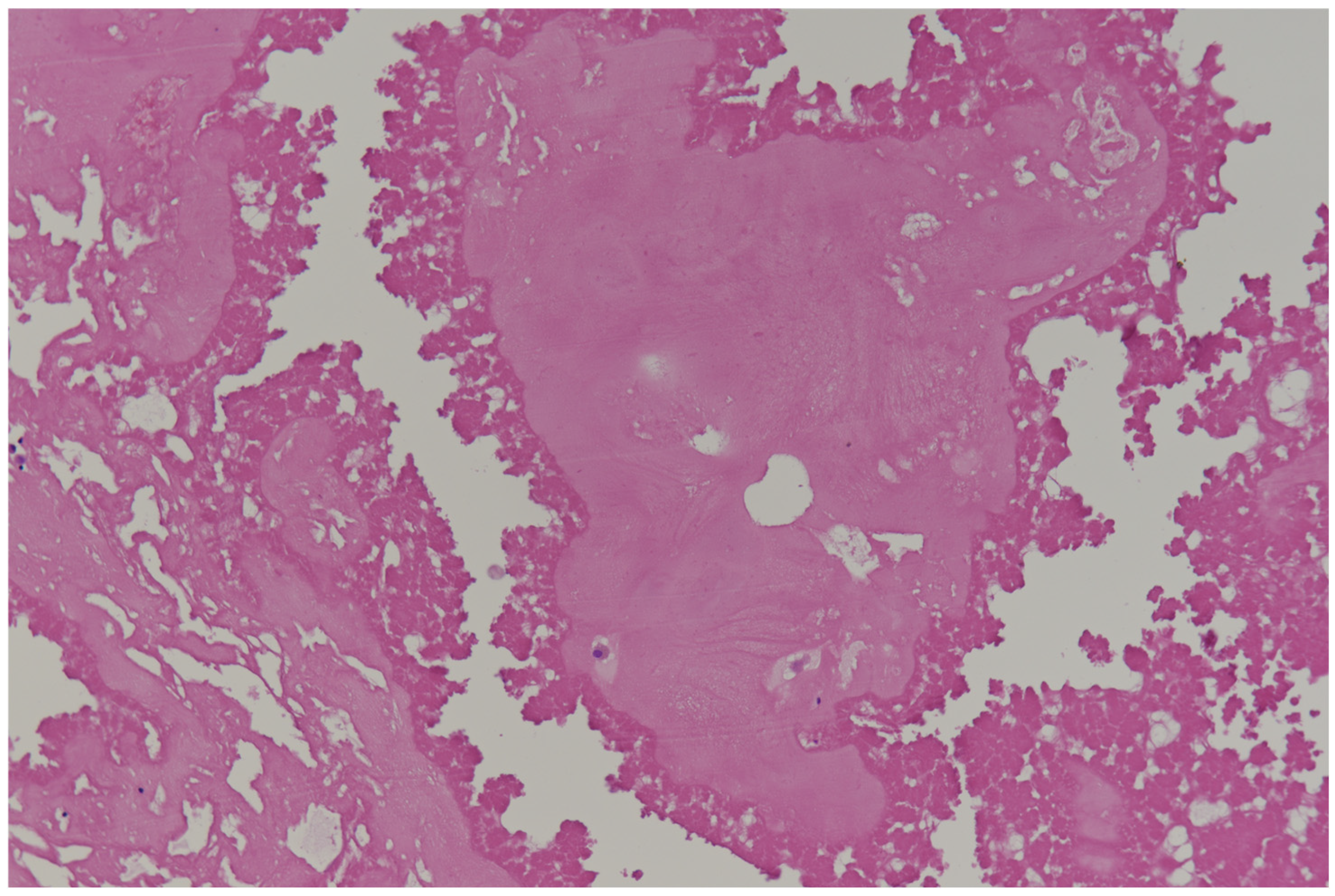 Diagnostics 15 01390 g003