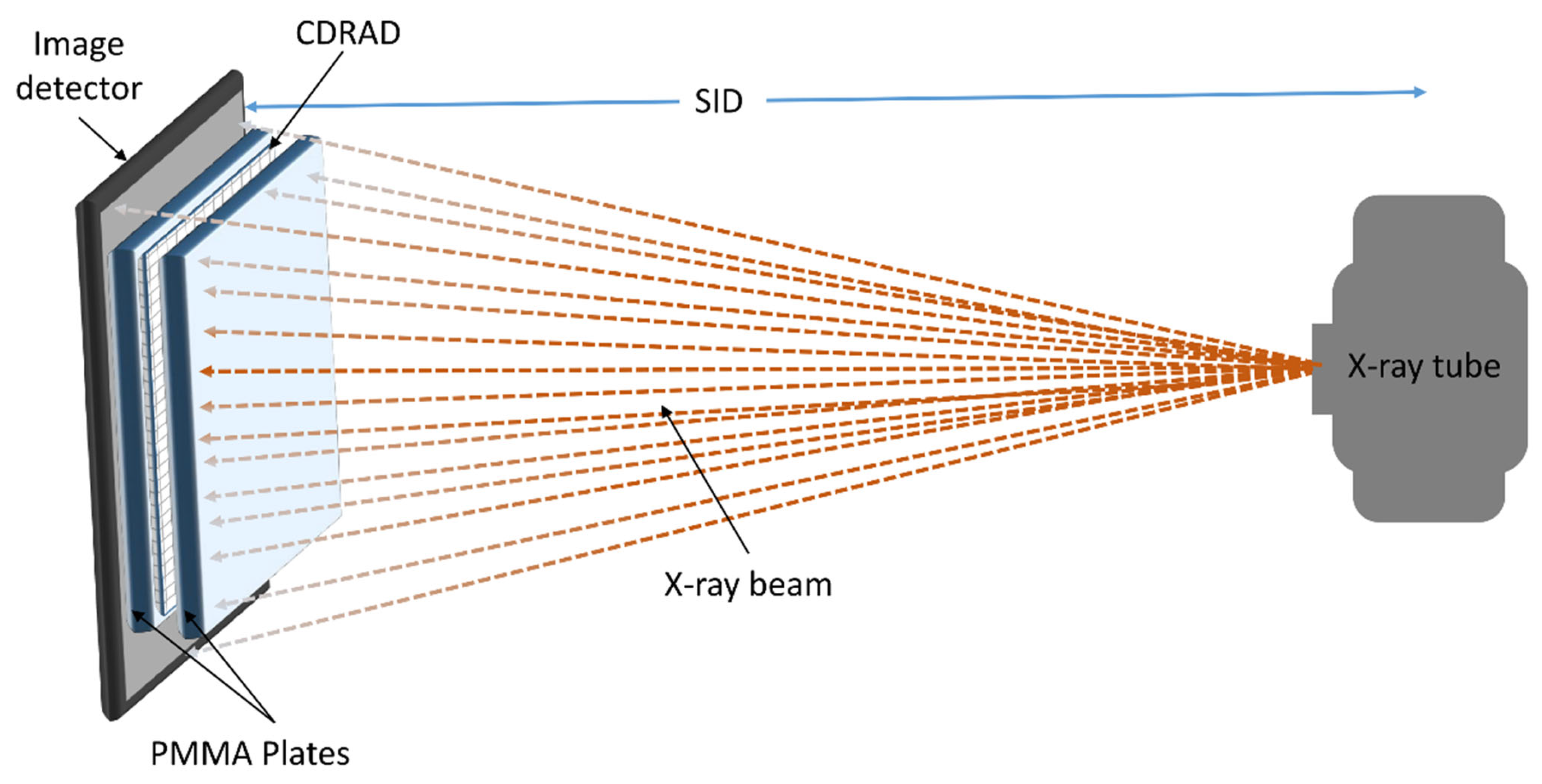 Diagnostics 15 01391 g001