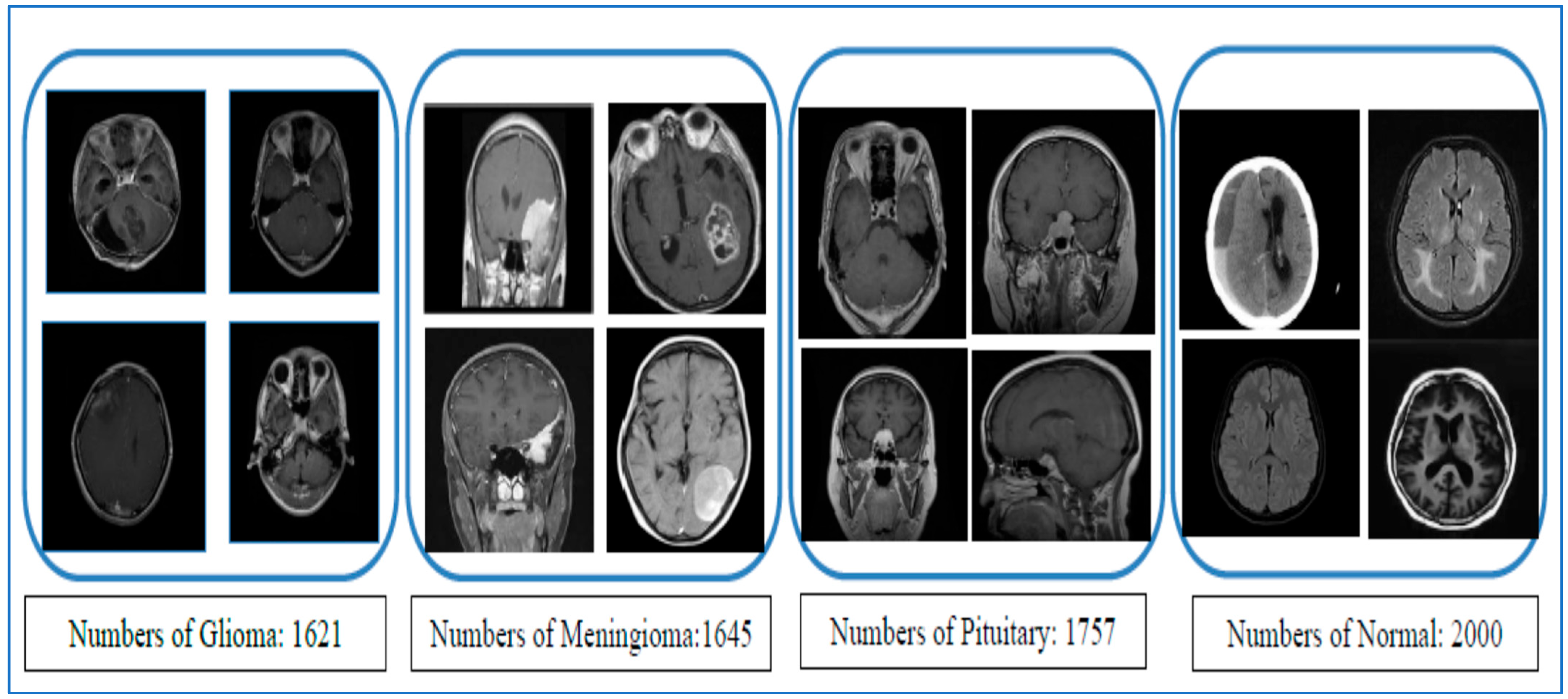 Diagnostics 15 01392 g001
