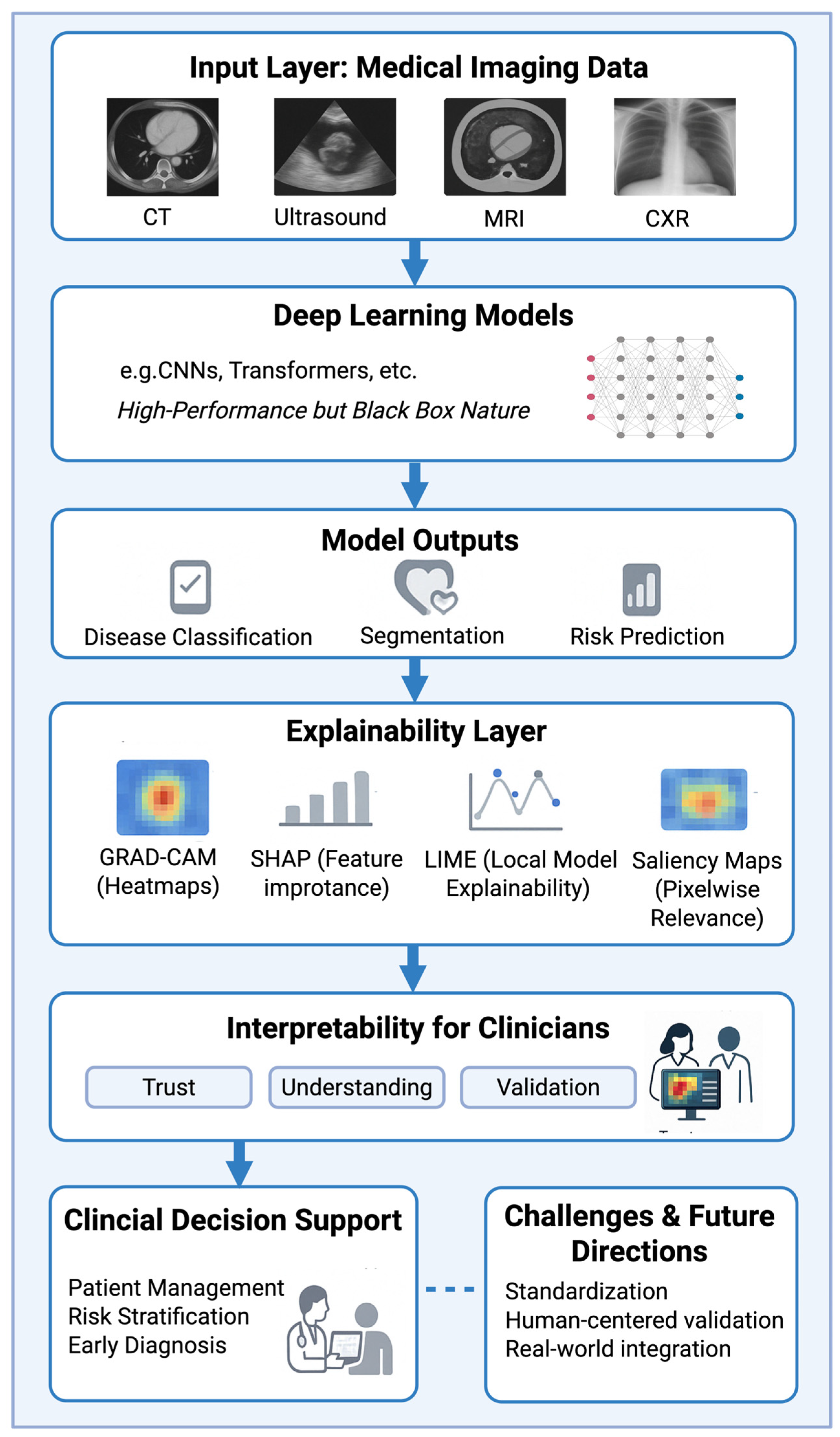 Diagnostics 15 01399 g001