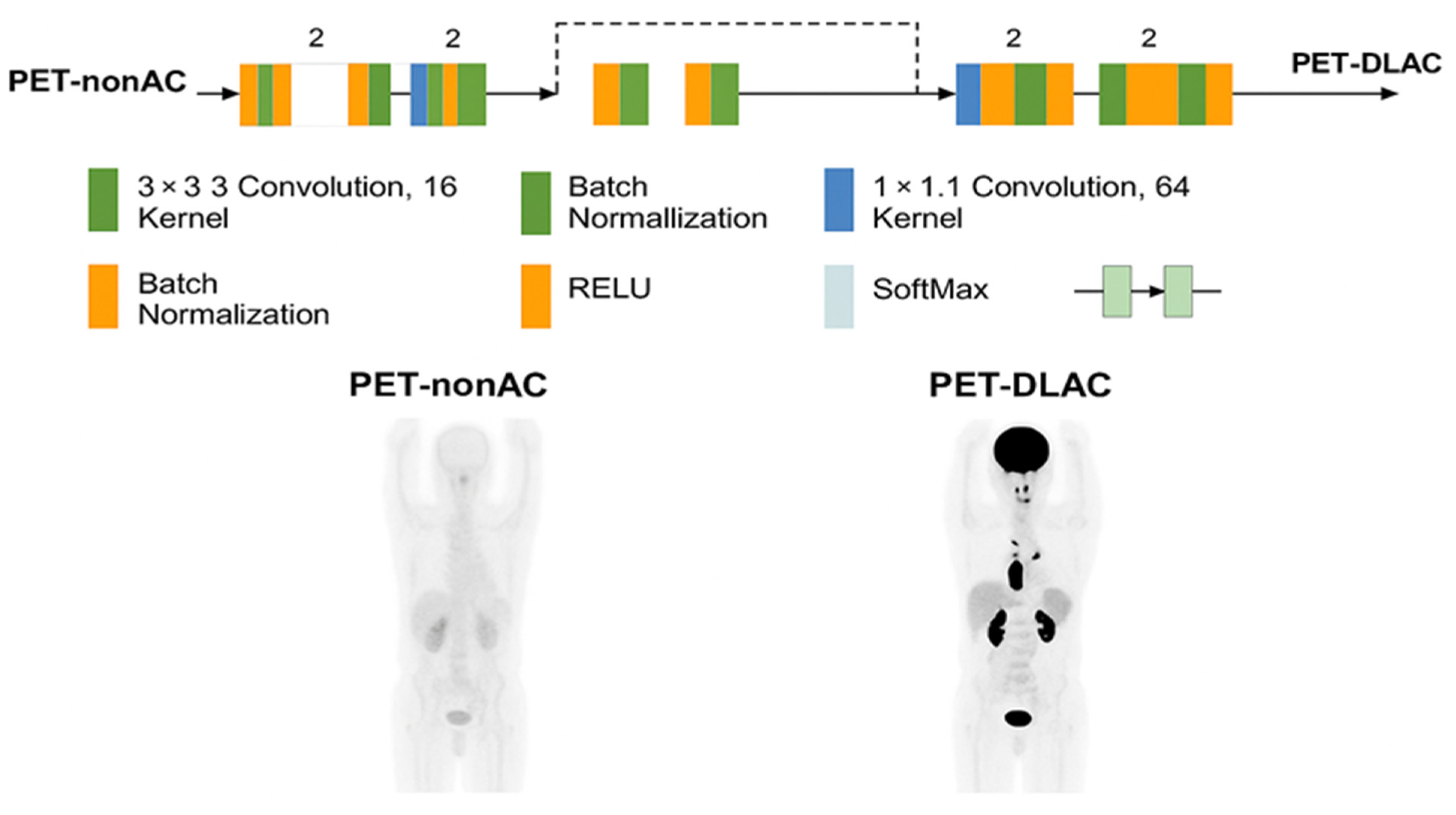 Diagnostics 15 01400 g001