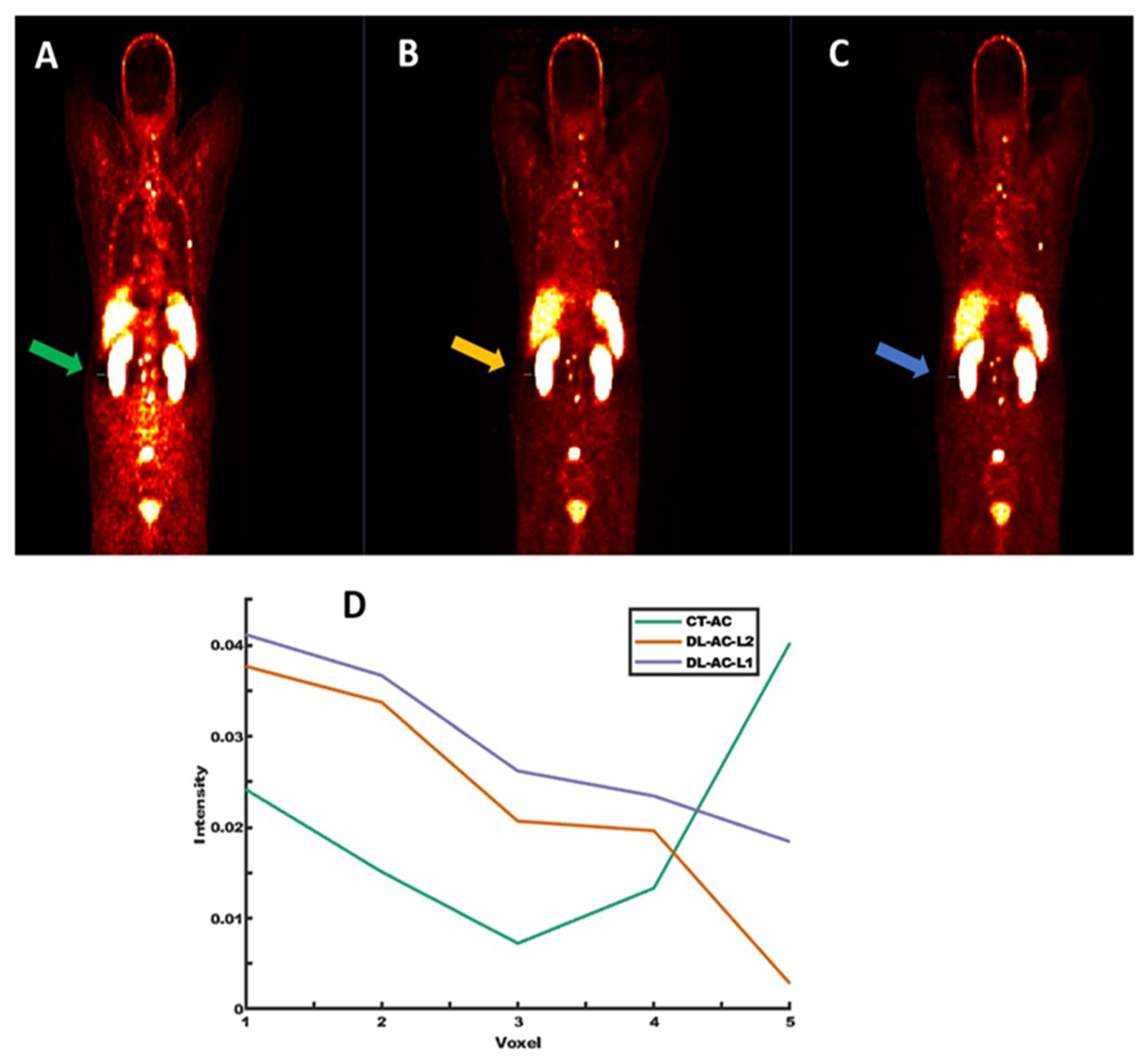 Diagnostics 15 01400 g003