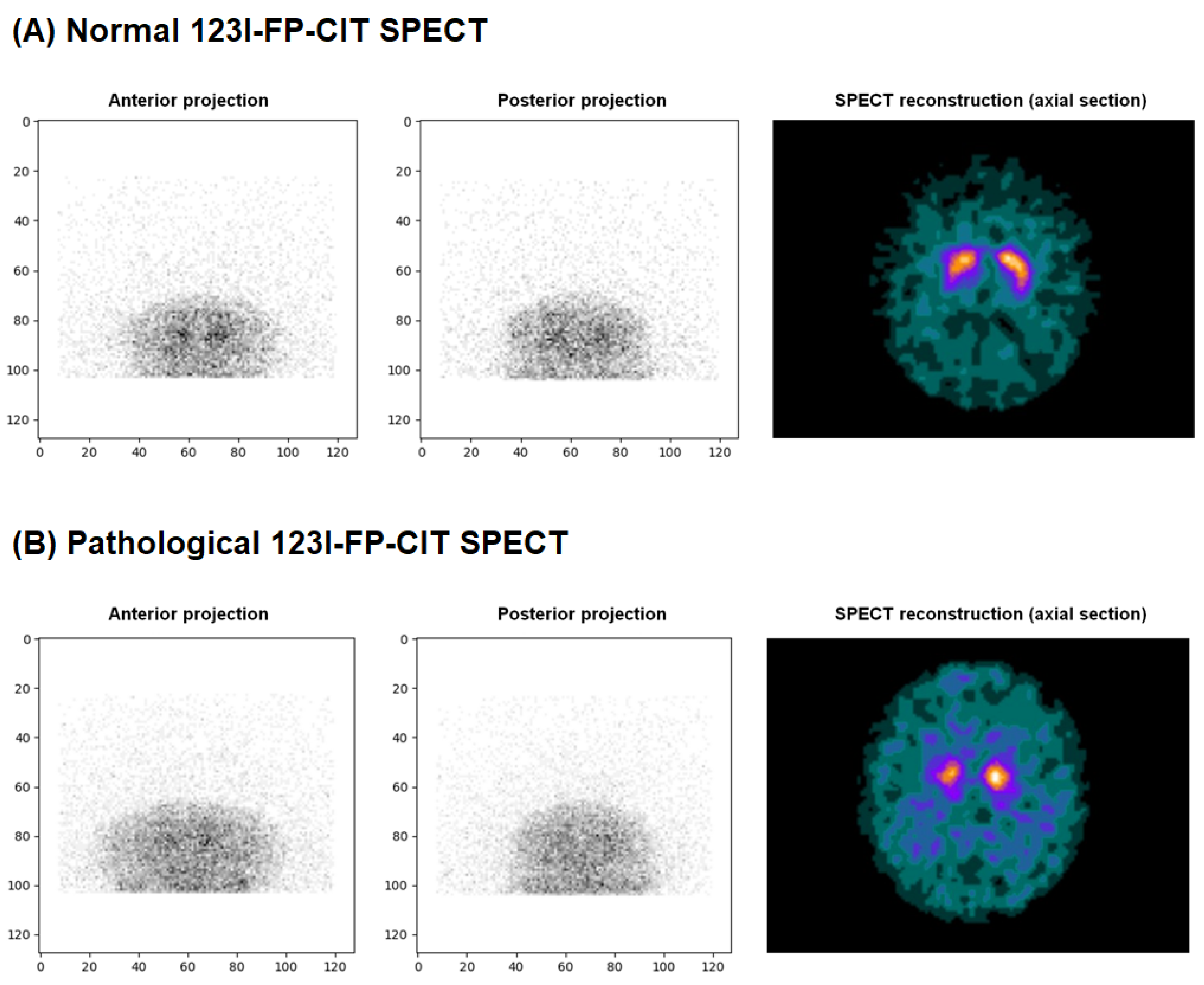 Diagnostics 15 01407 g001