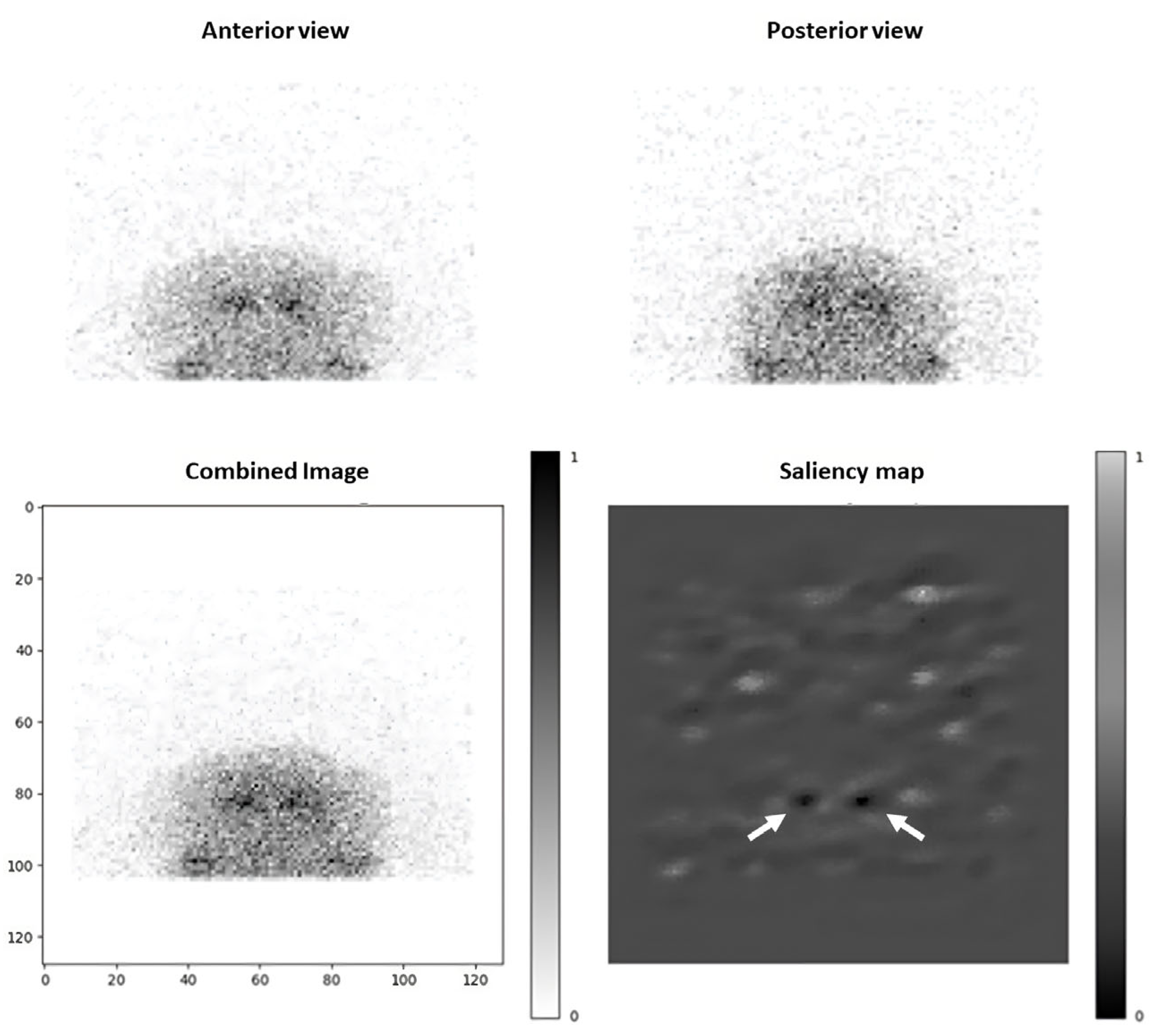 Diagnostics 15 01407 g004