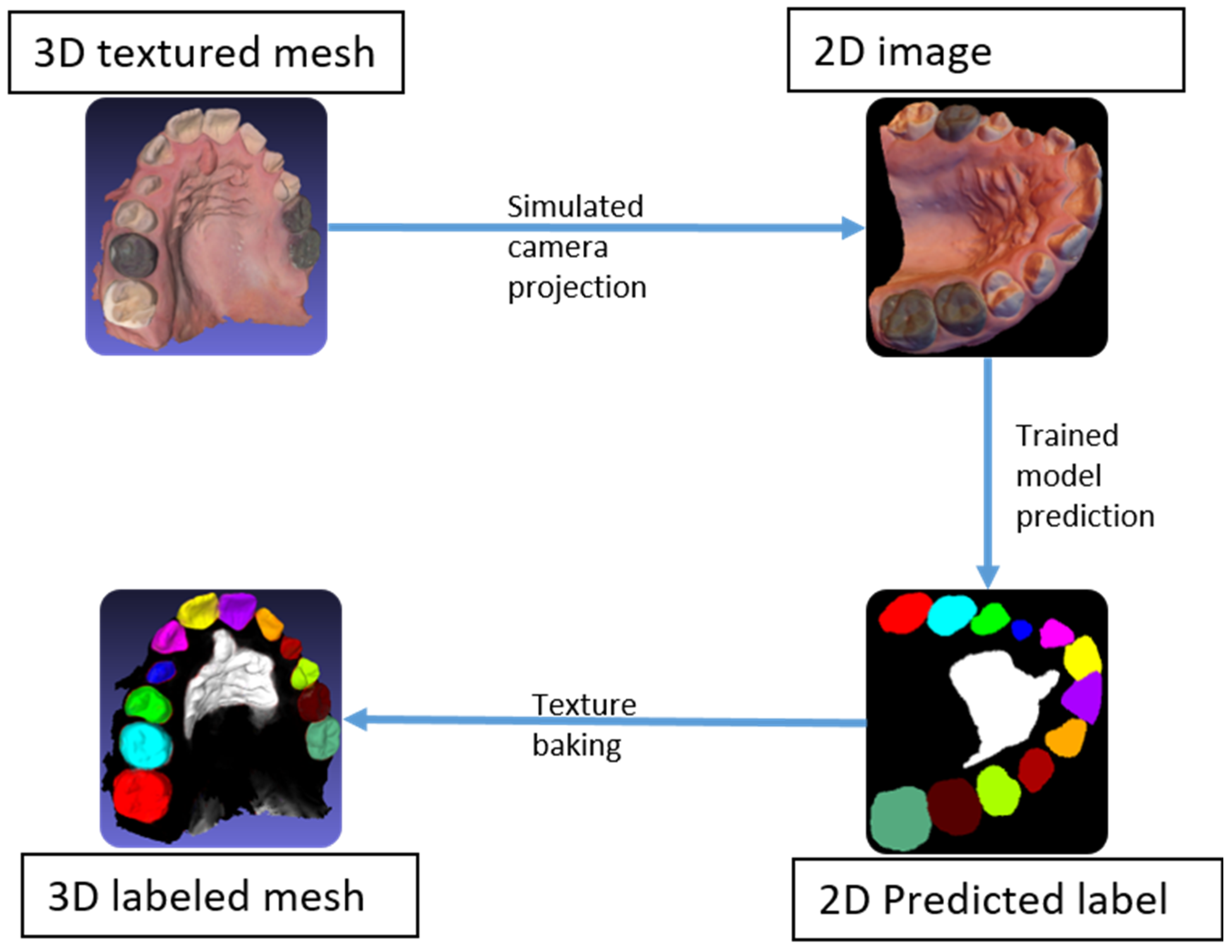 Diagnostics 15 01415 g005