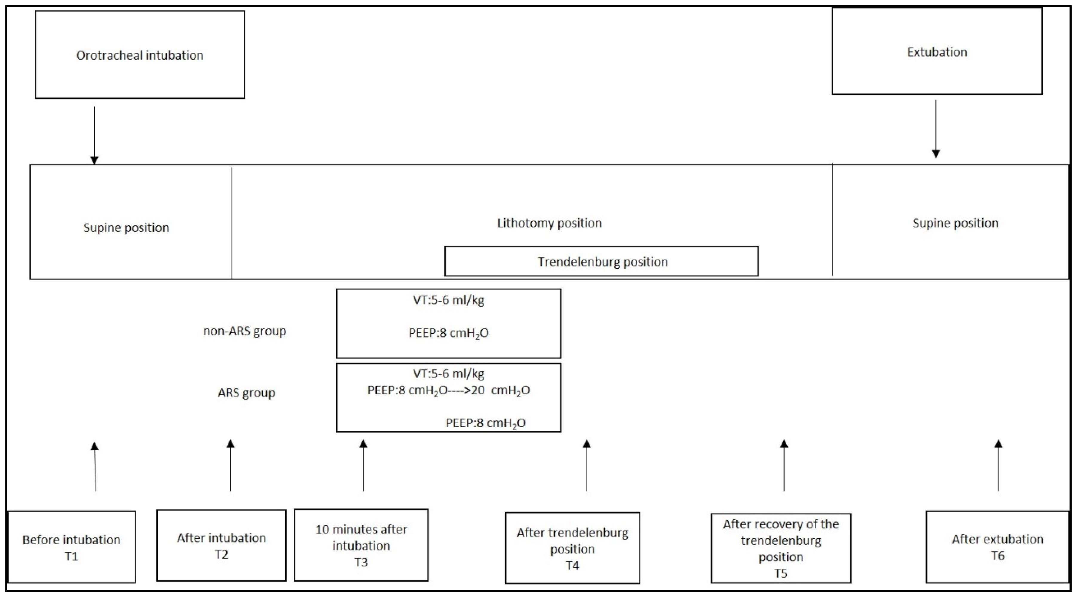 Diagnostics 15 01428 g002