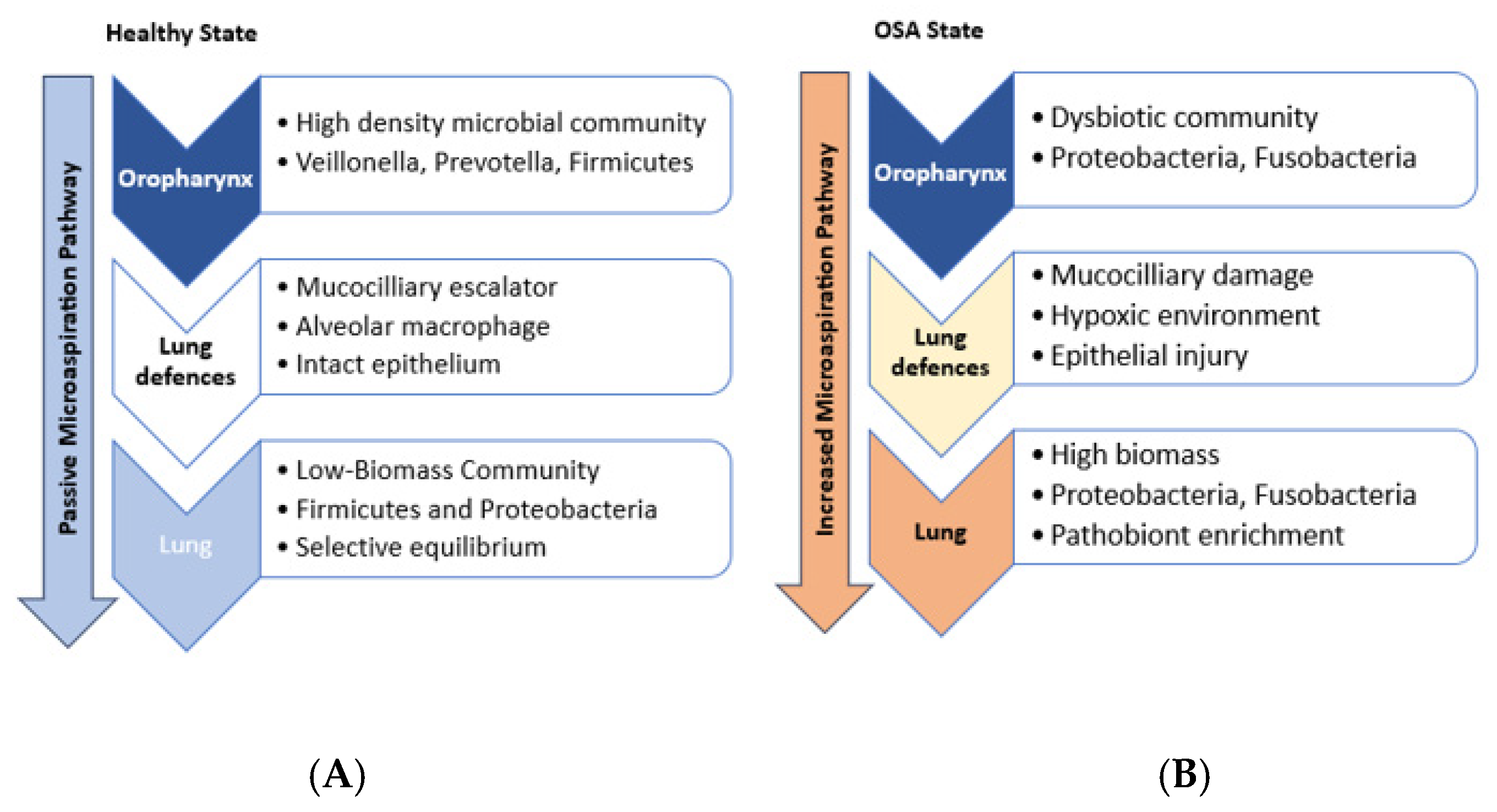 Diagnostics 15 01431 g001