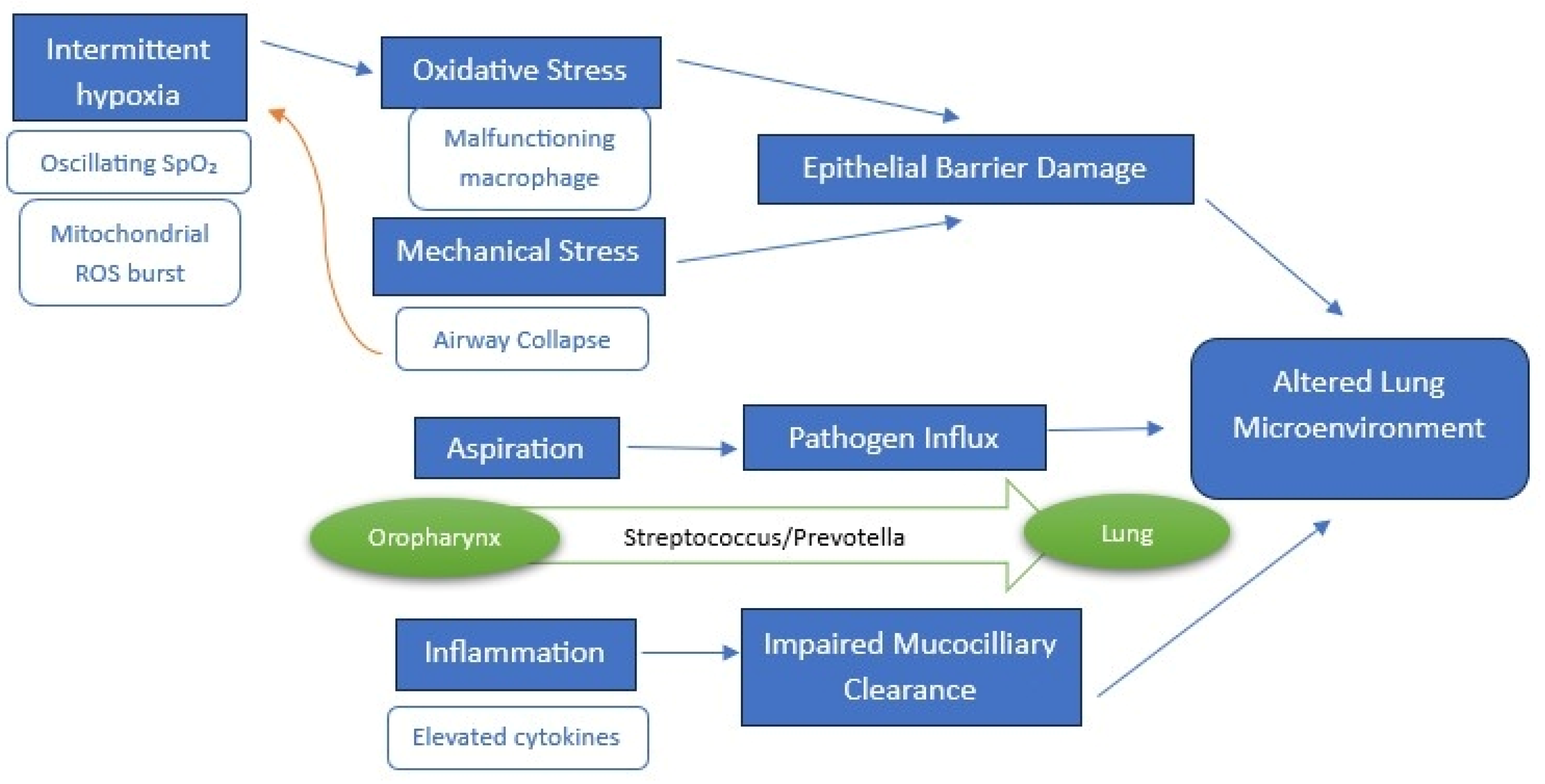 Diagnostics 15 01431 g002