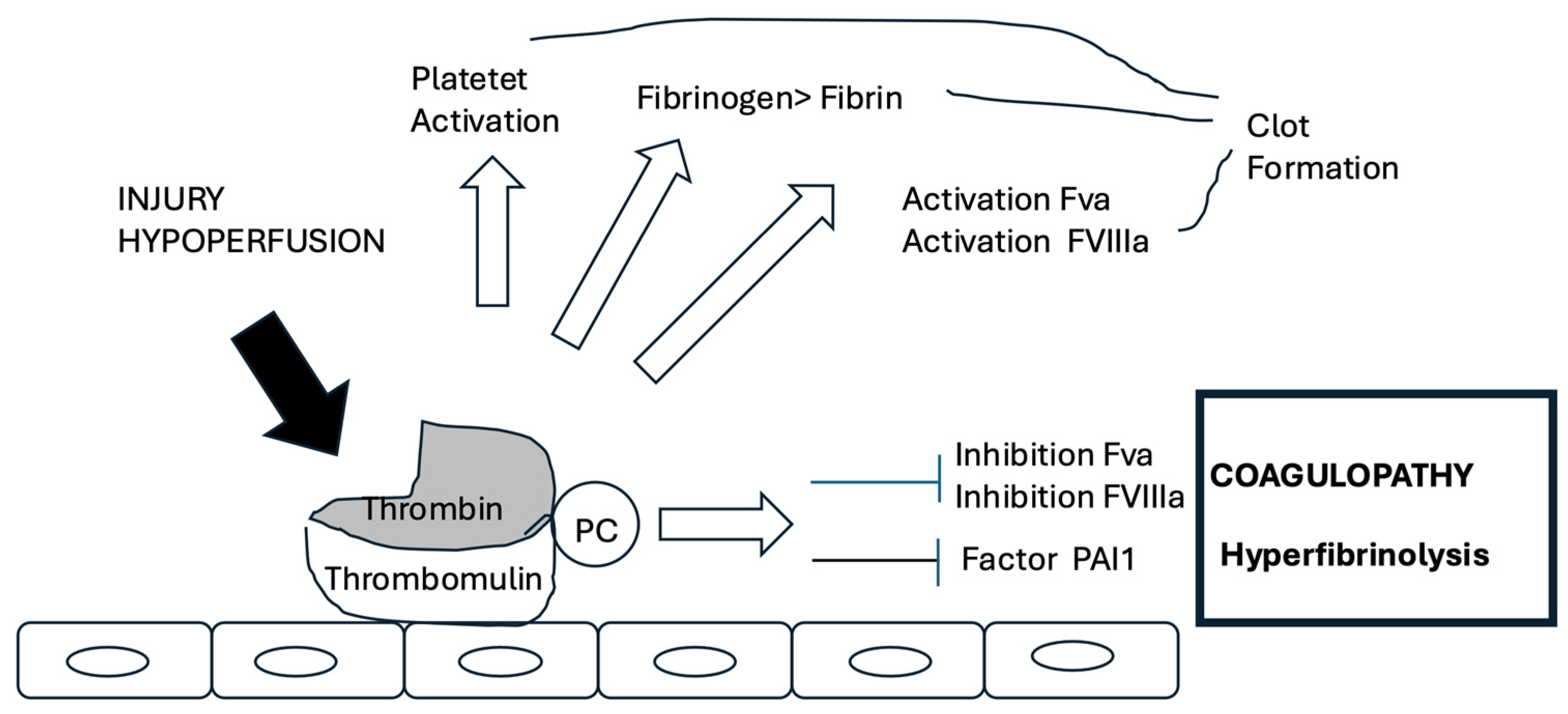 Diagnostics 15 01435 g002