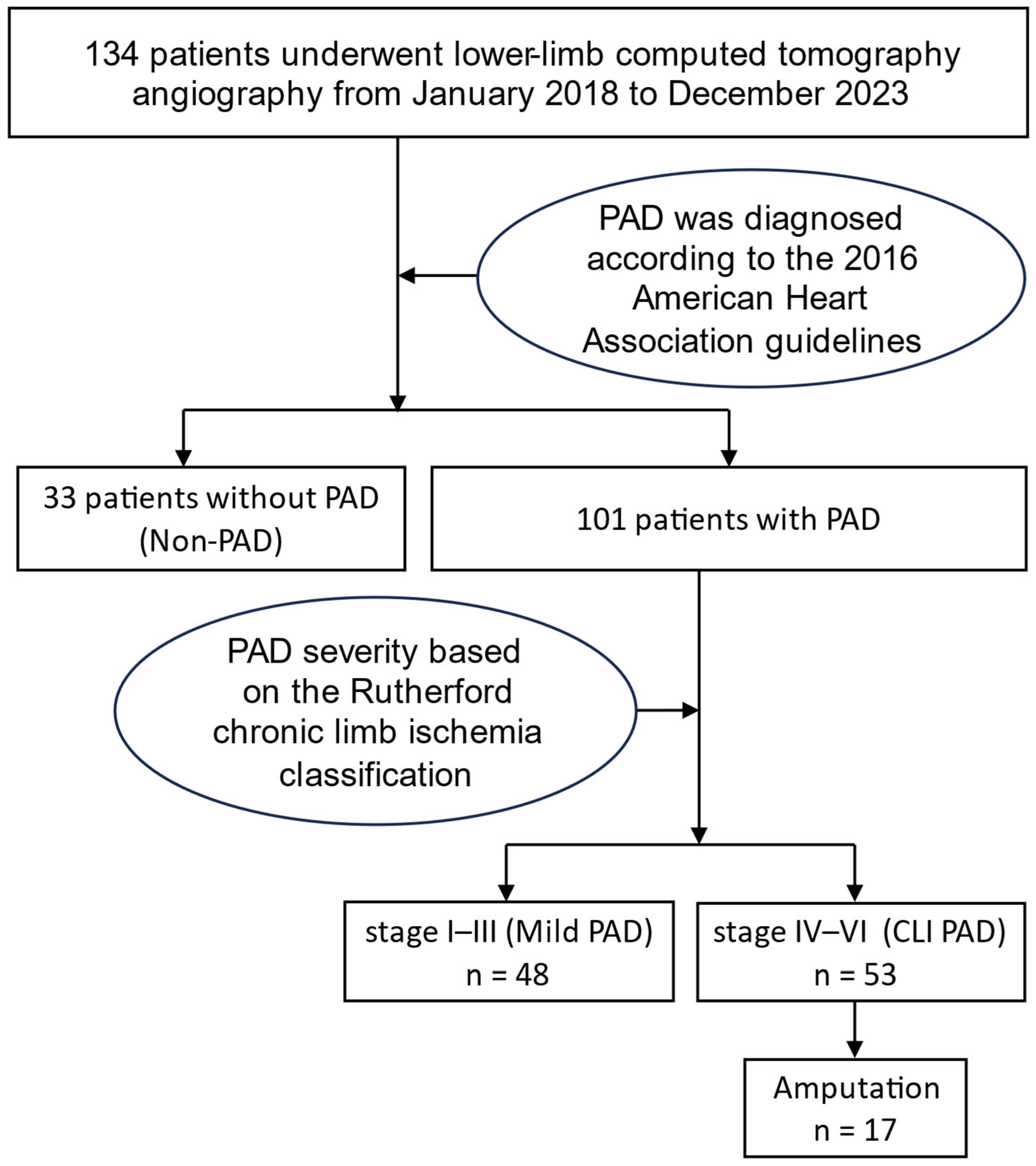 Diagnostics 15 01439 g001