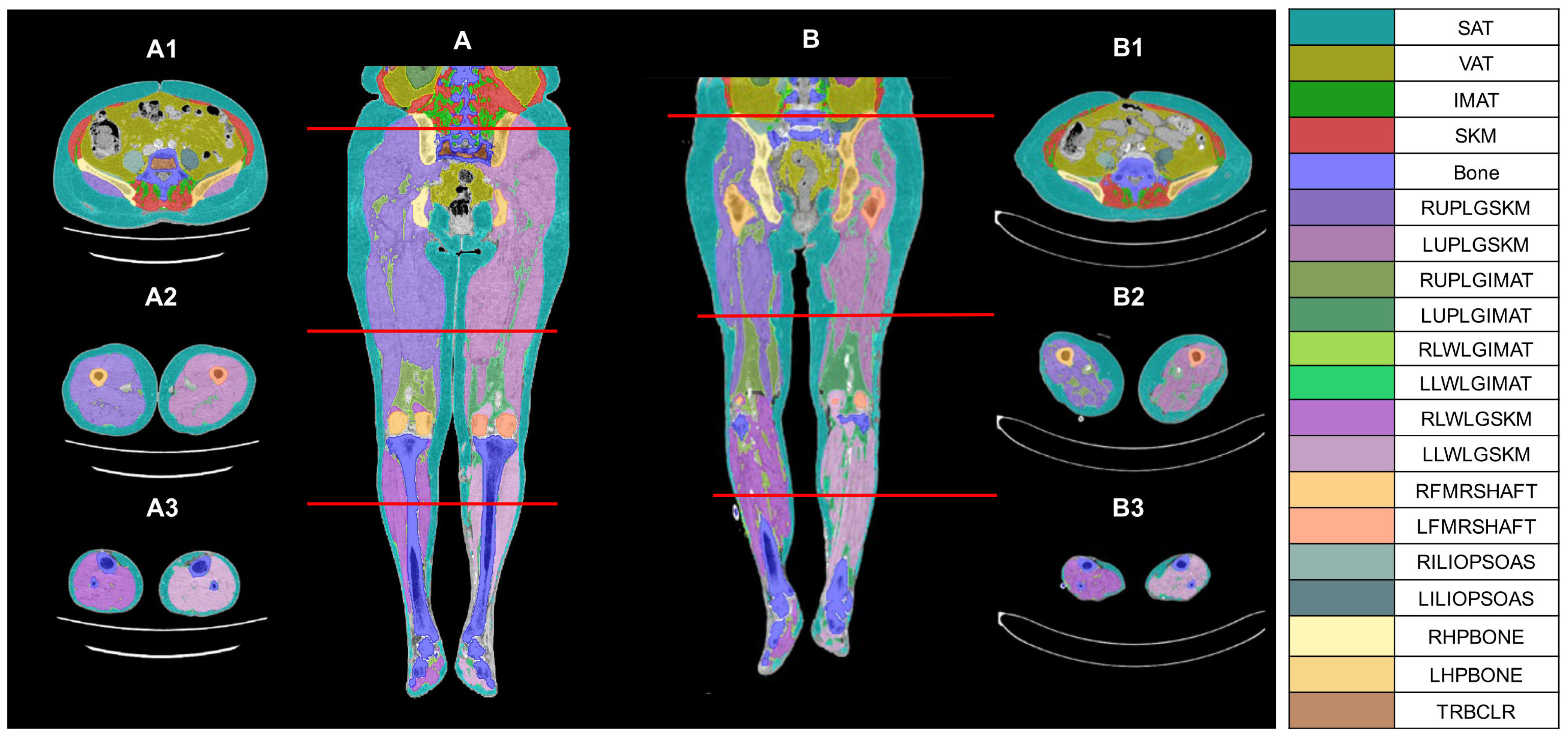 Diagnostics 15 01439 g002