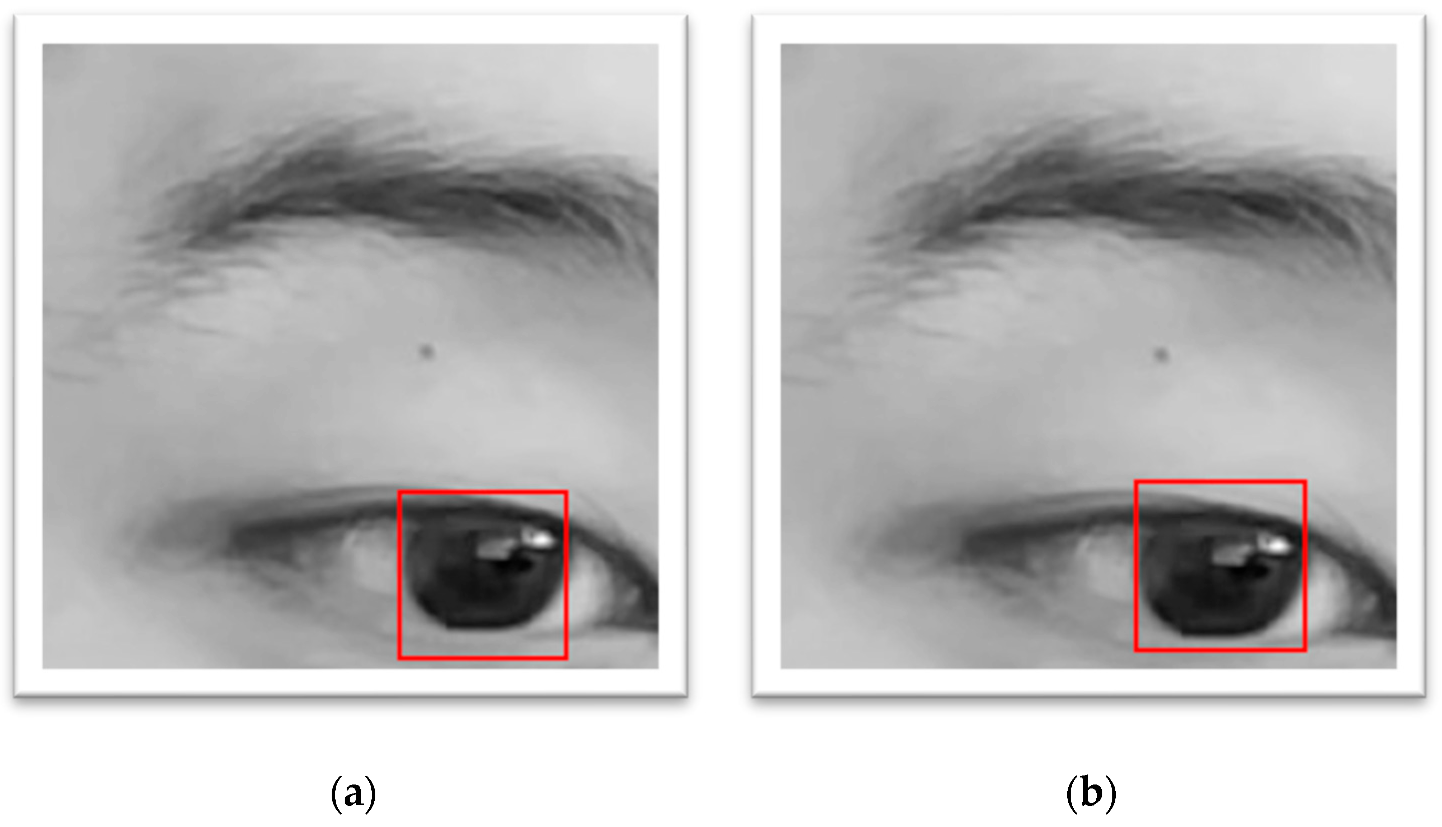 Diagnostics 15 01446 g004