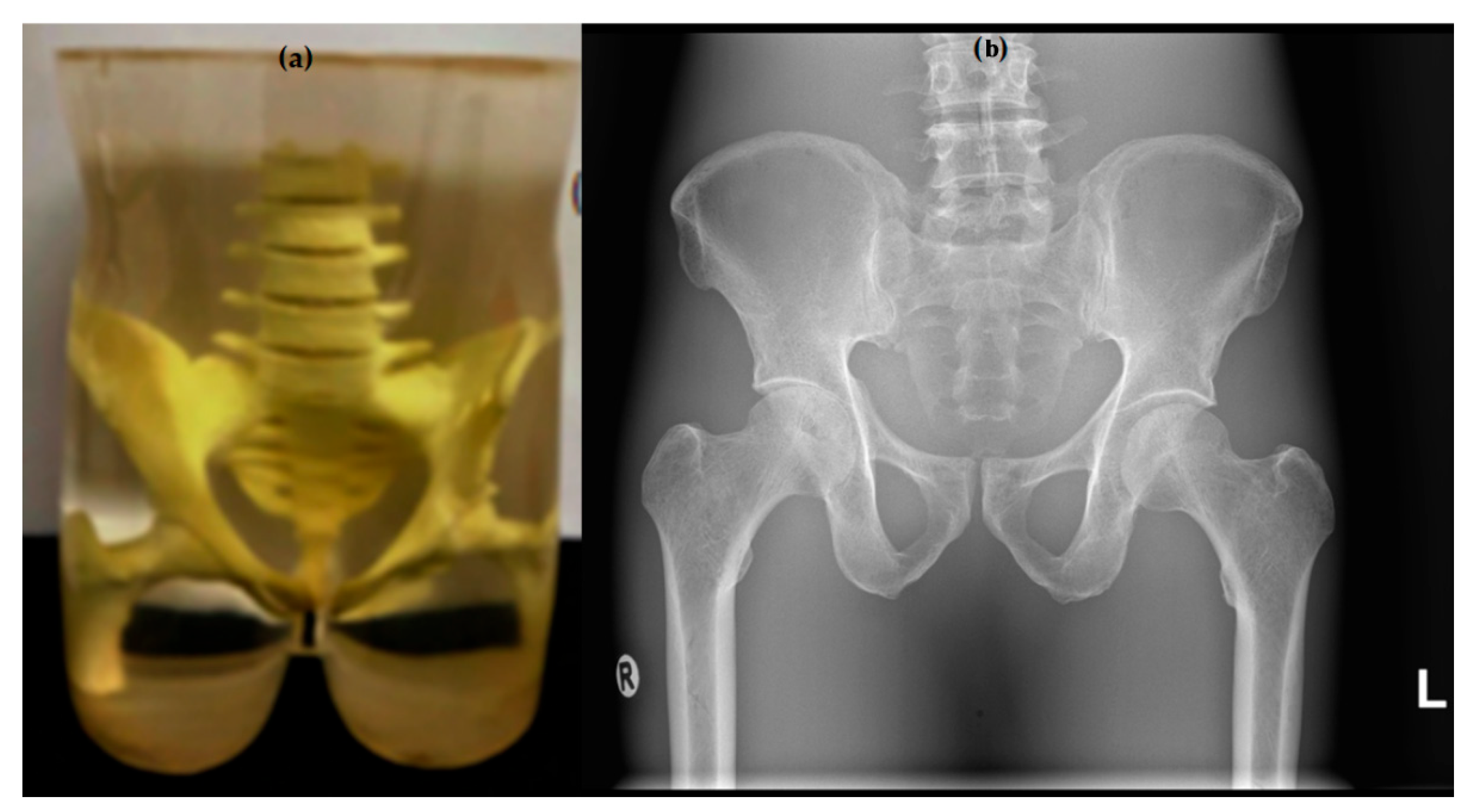 Diagnostics 15 01450 g003