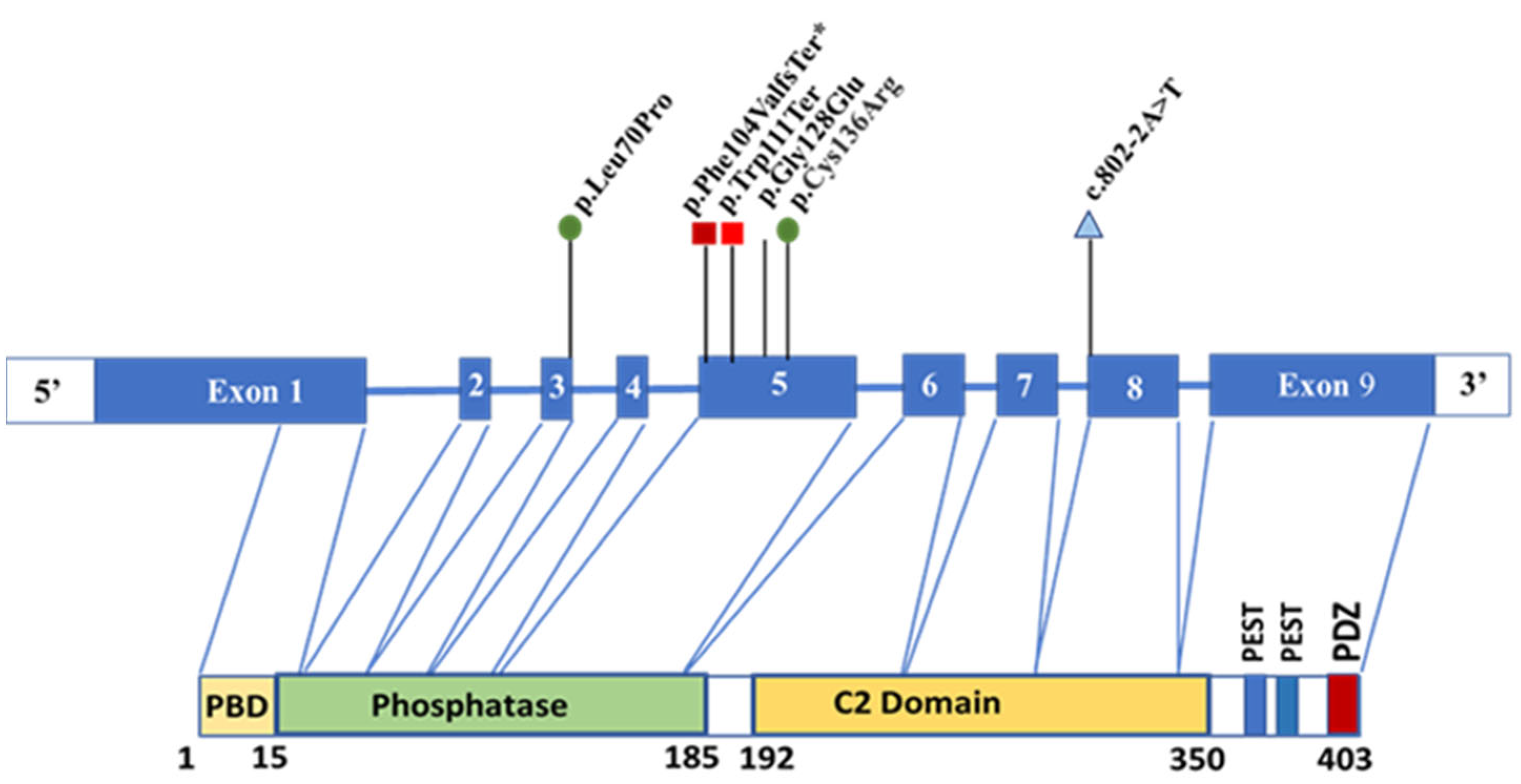 Diagnostics 15 01456 g011