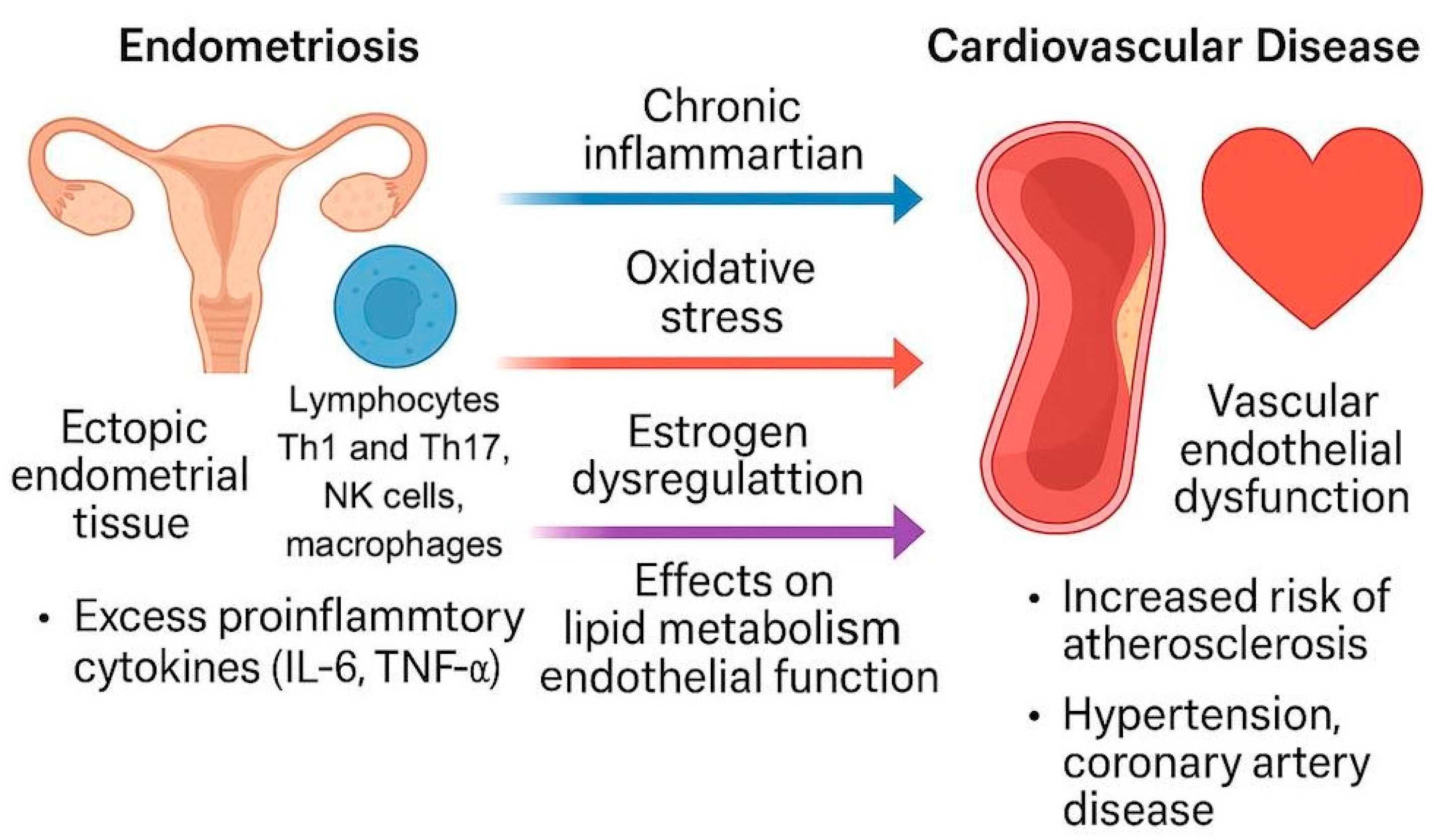 Diagnostics 15 01458 g001