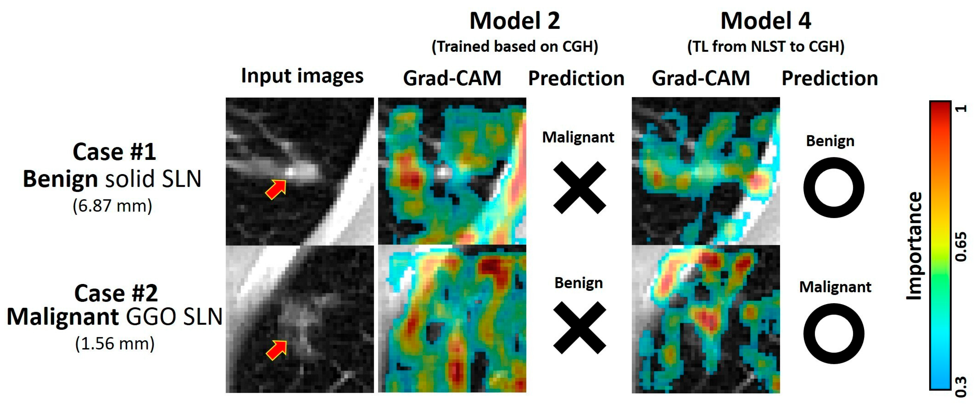 Diagnostics 15 01460 g004