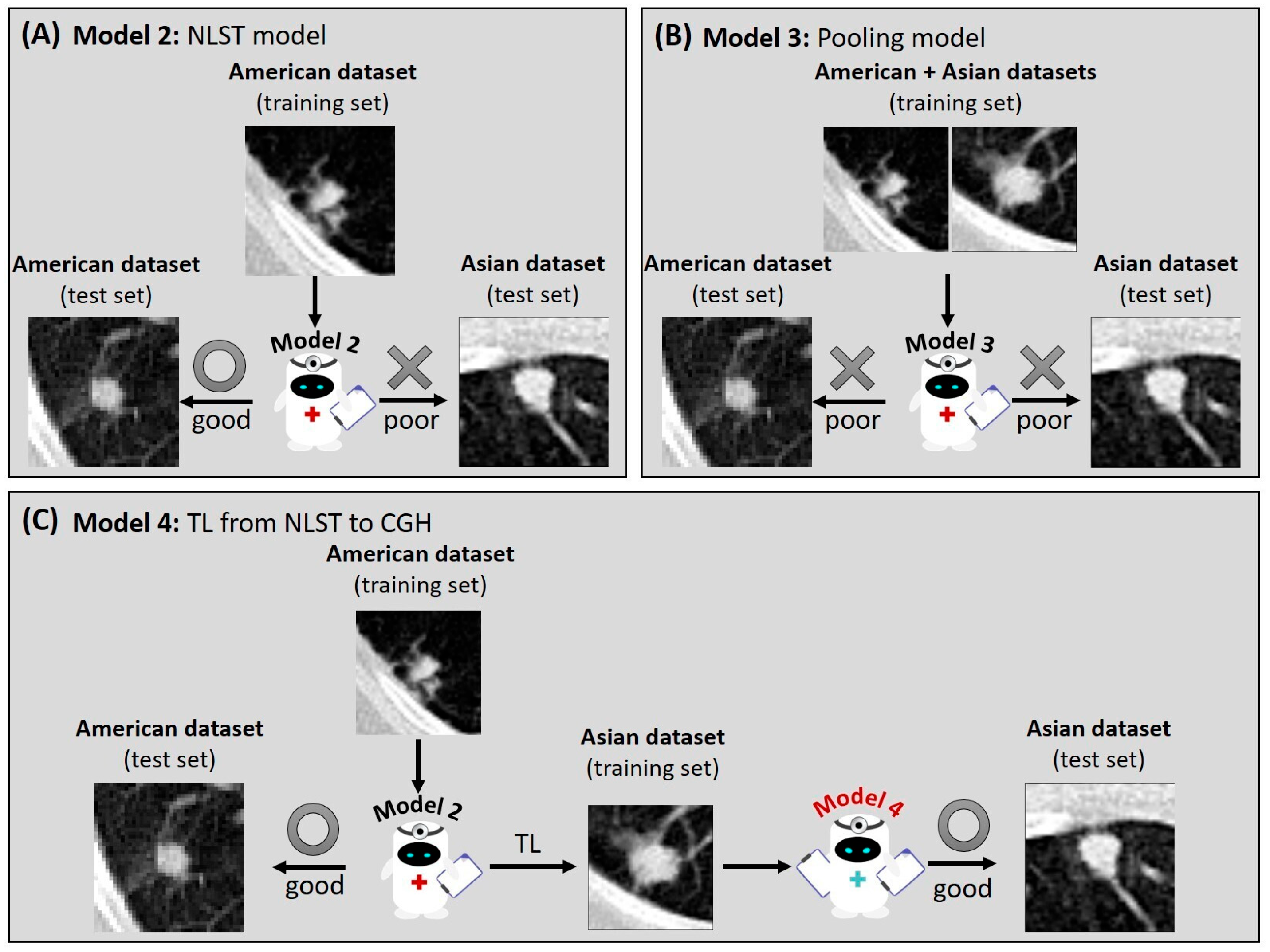 Diagnostics 15 01460 g005