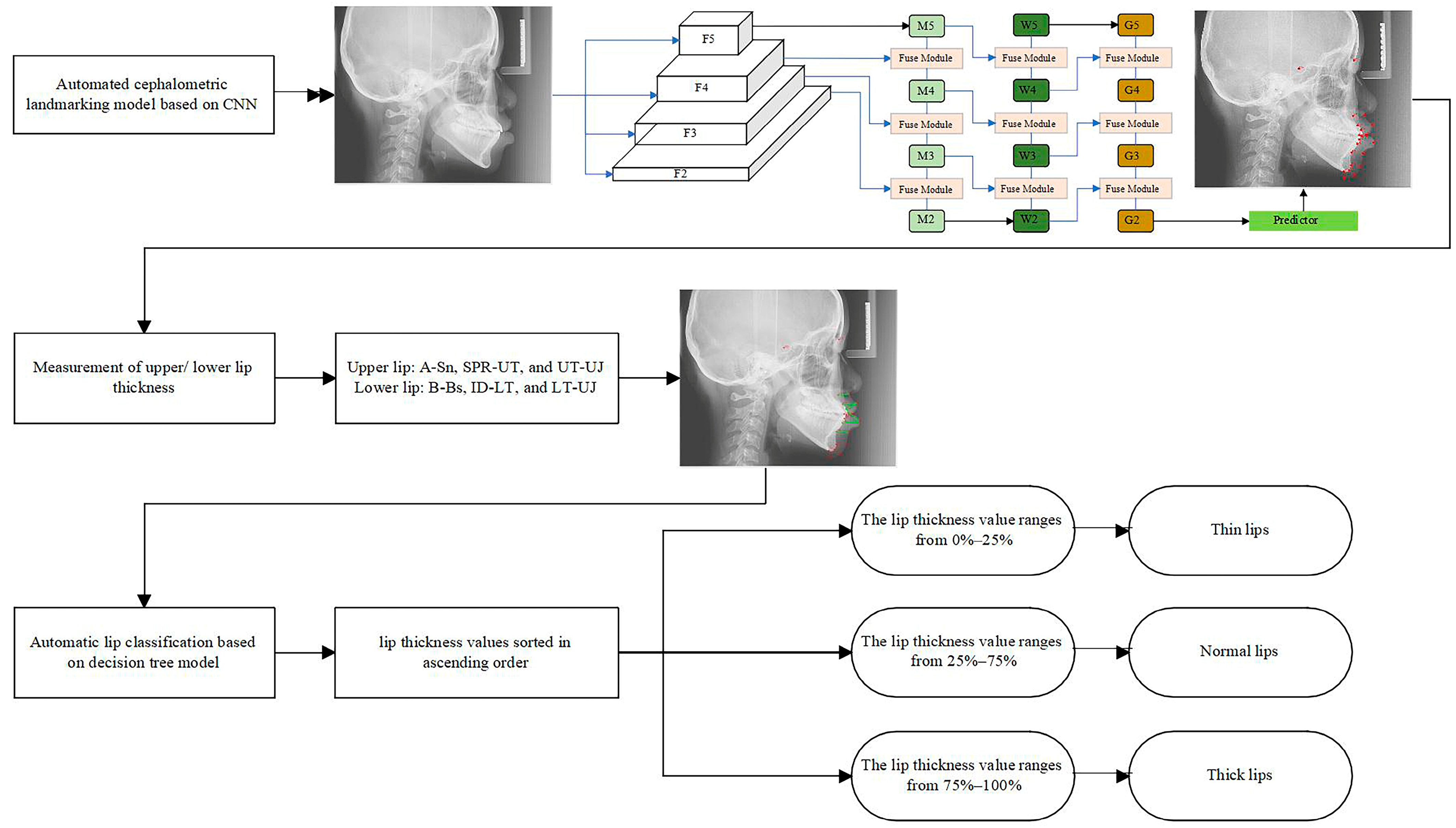 Diagnostics 15 01468 g001