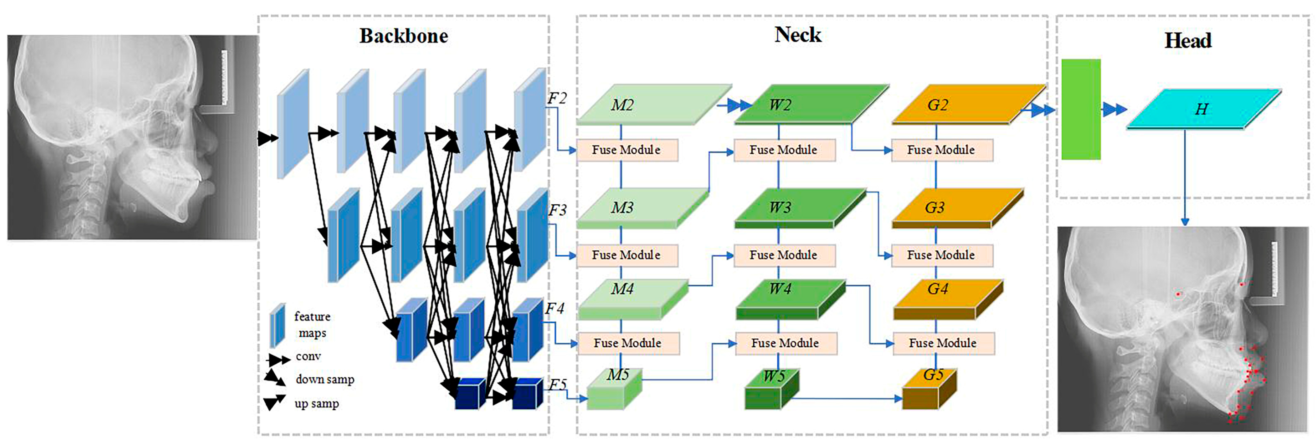 Diagnostics 15 01468 g003
