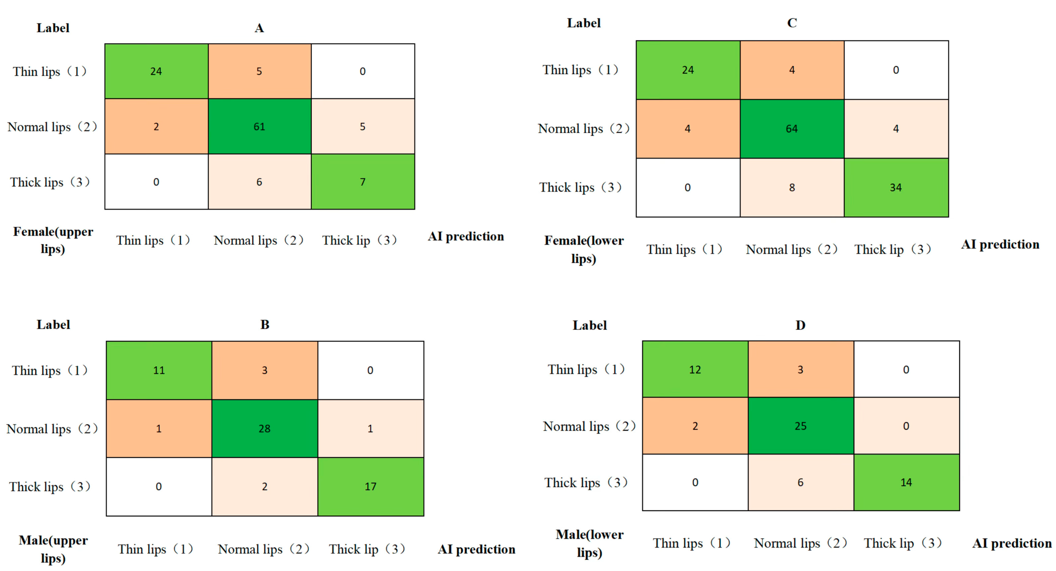 Diagnostics 15 01468 g005