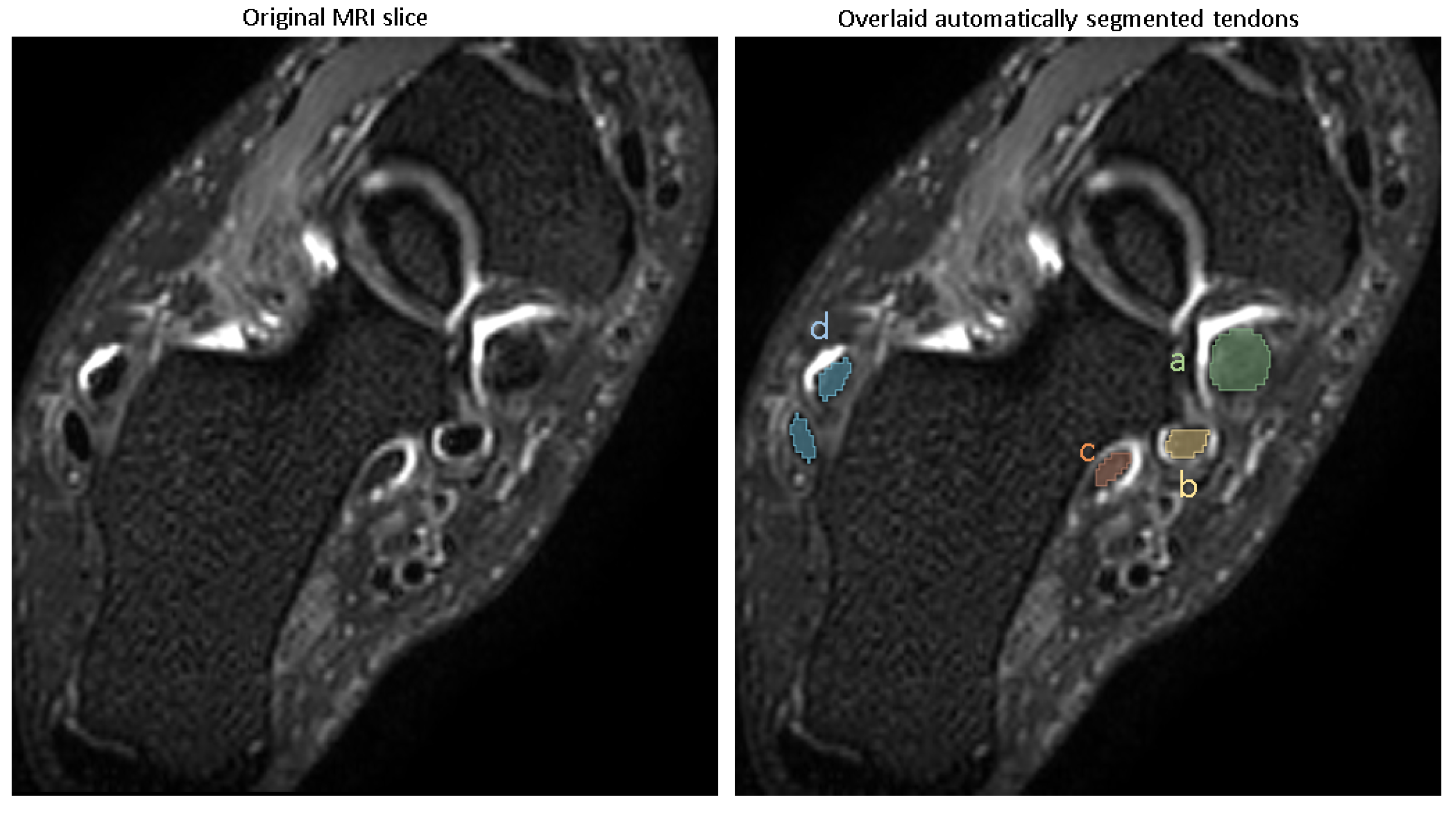 Diagnostics 15 01469 g003