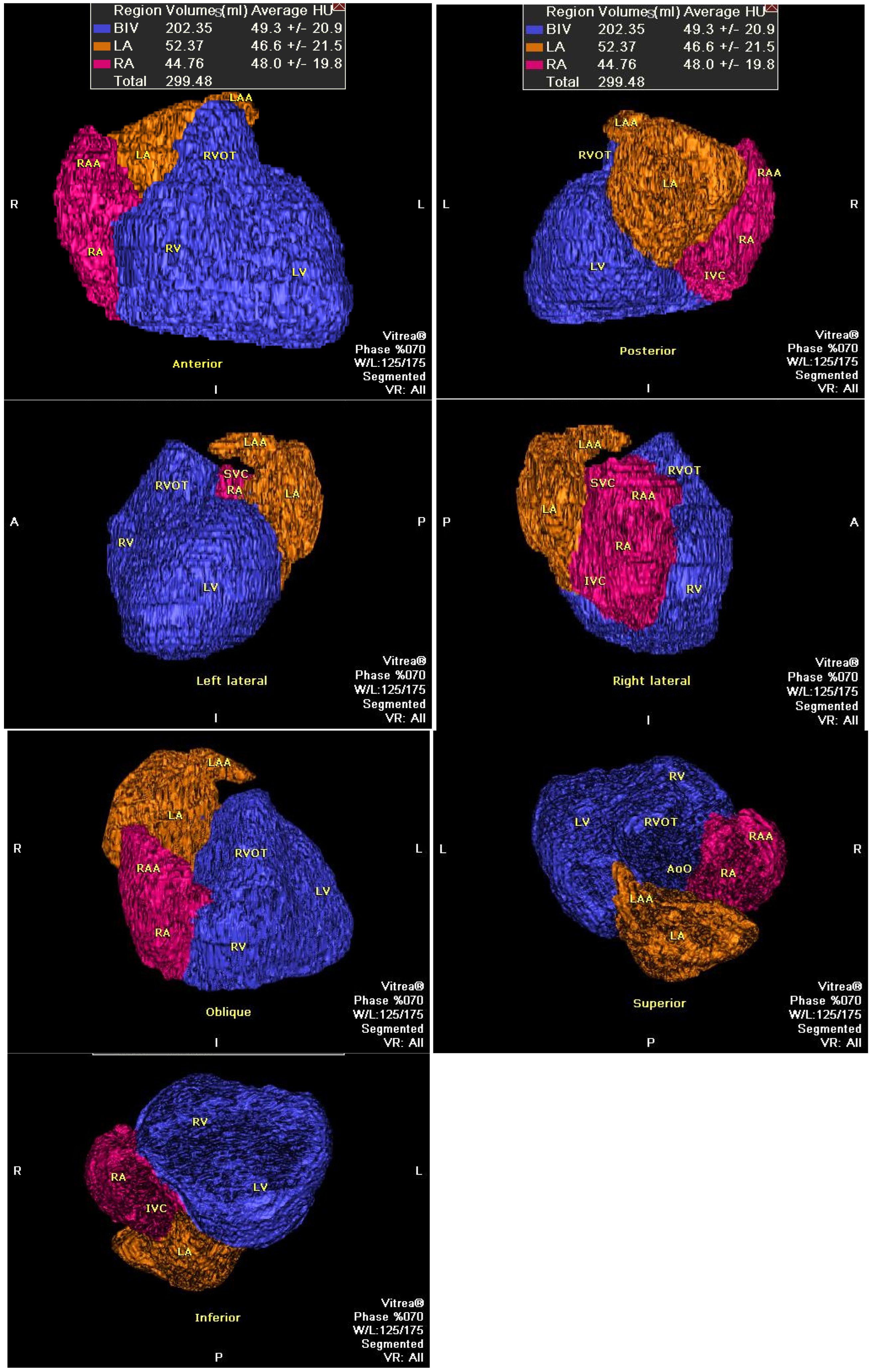 Diagnostics 15 01502 g001