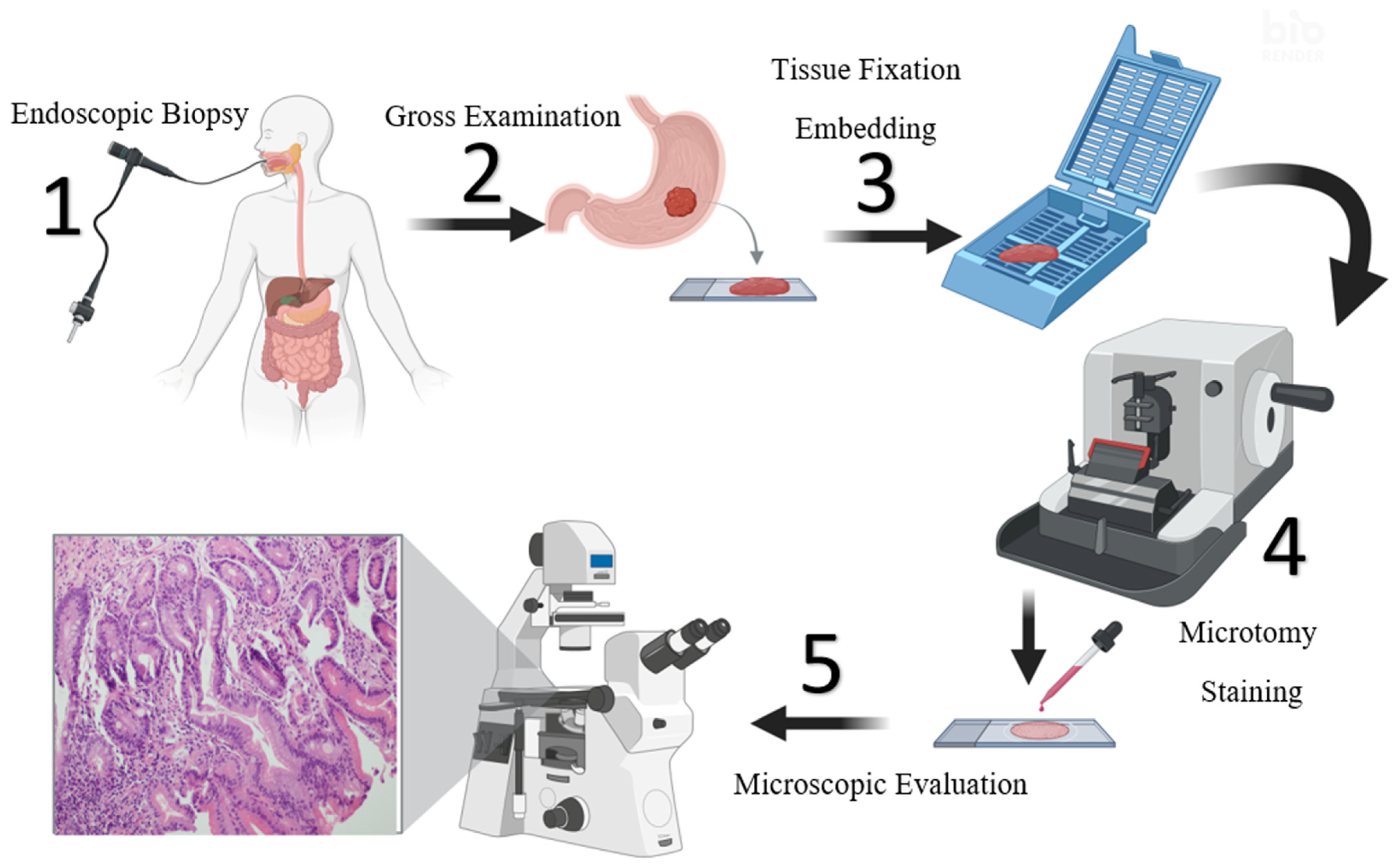 Diagnostics 15 01507 g001