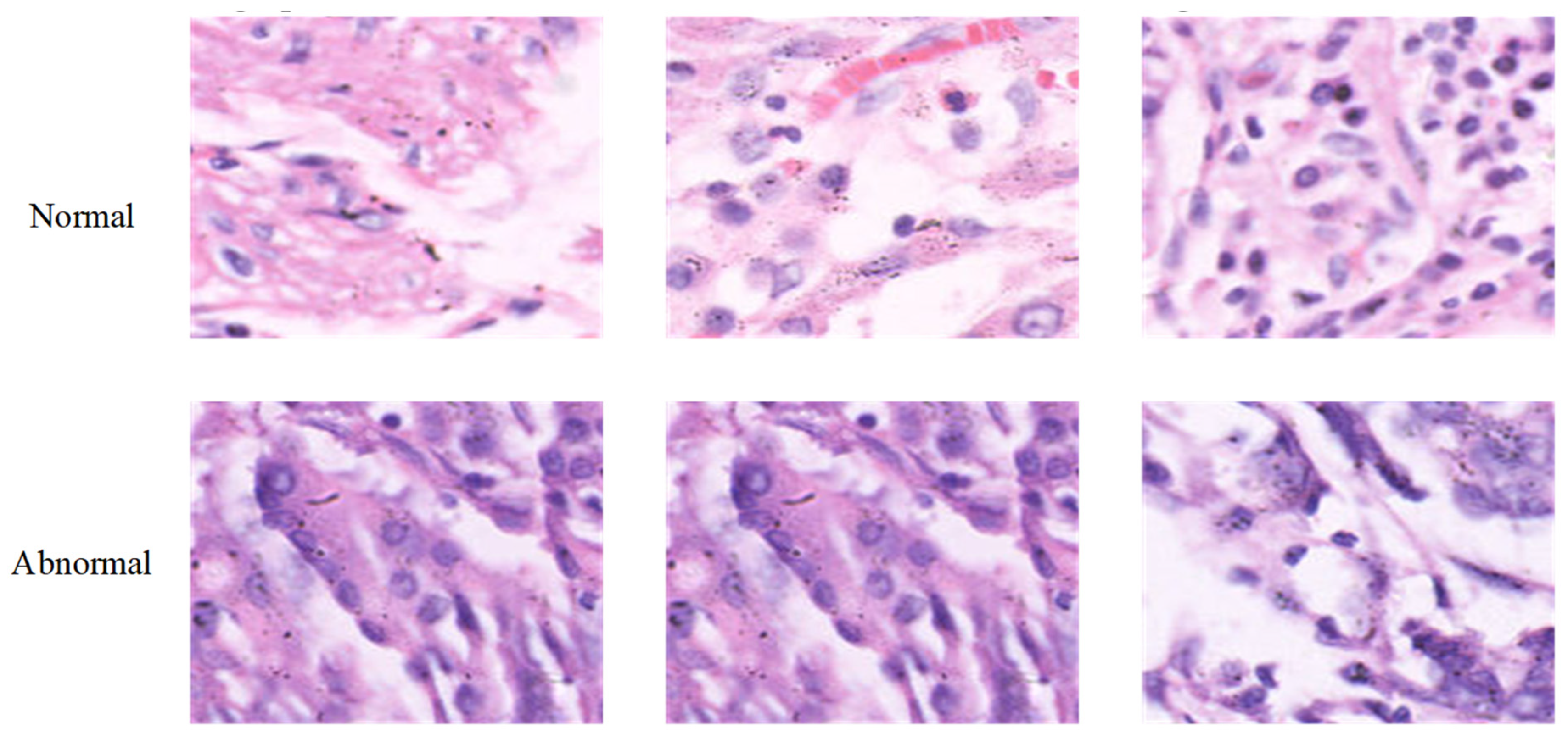 Diagnostics 15 01507 g003