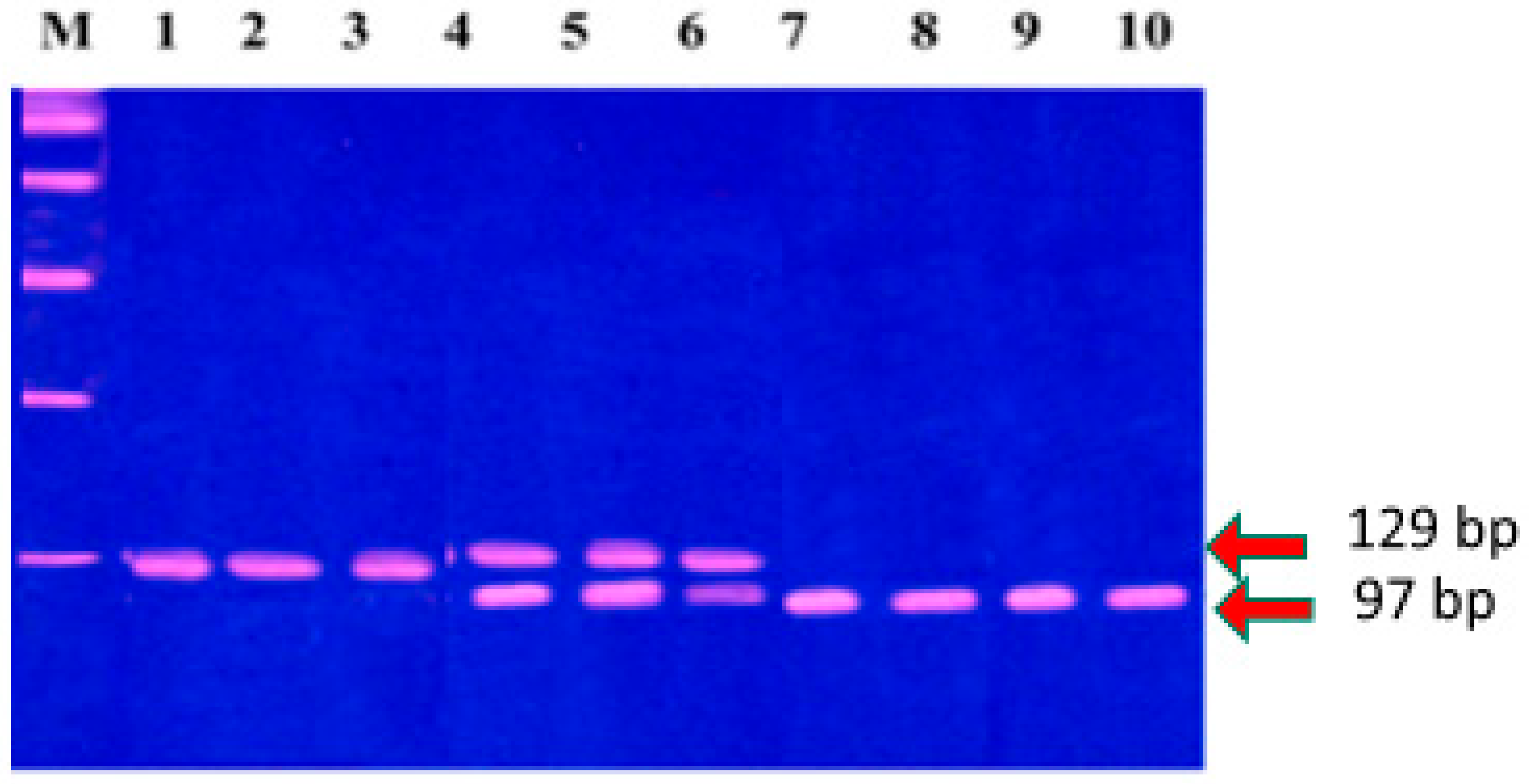Diagnostics 15 01521 g002