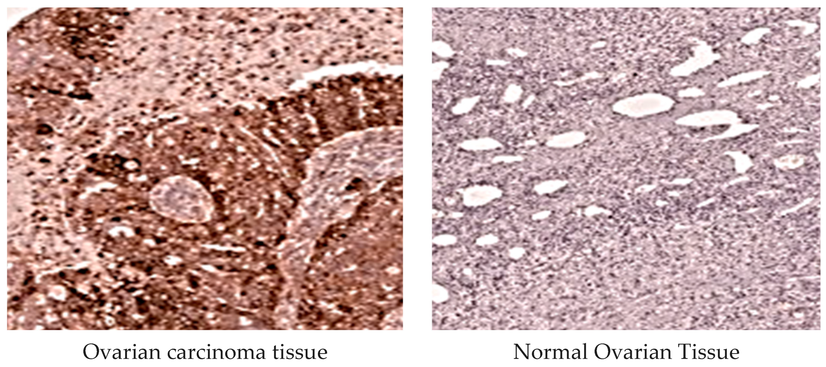 Diagnostics 15 01521 g003